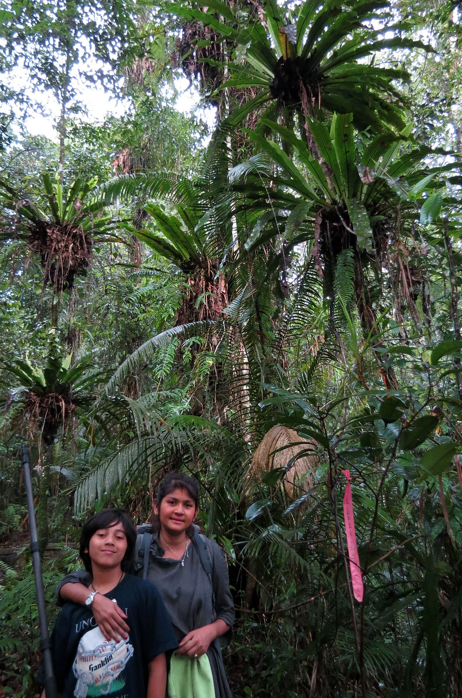 HALIMUN  NATIONAL PARK - JAVA BARAT INDONESIA (4).JPG