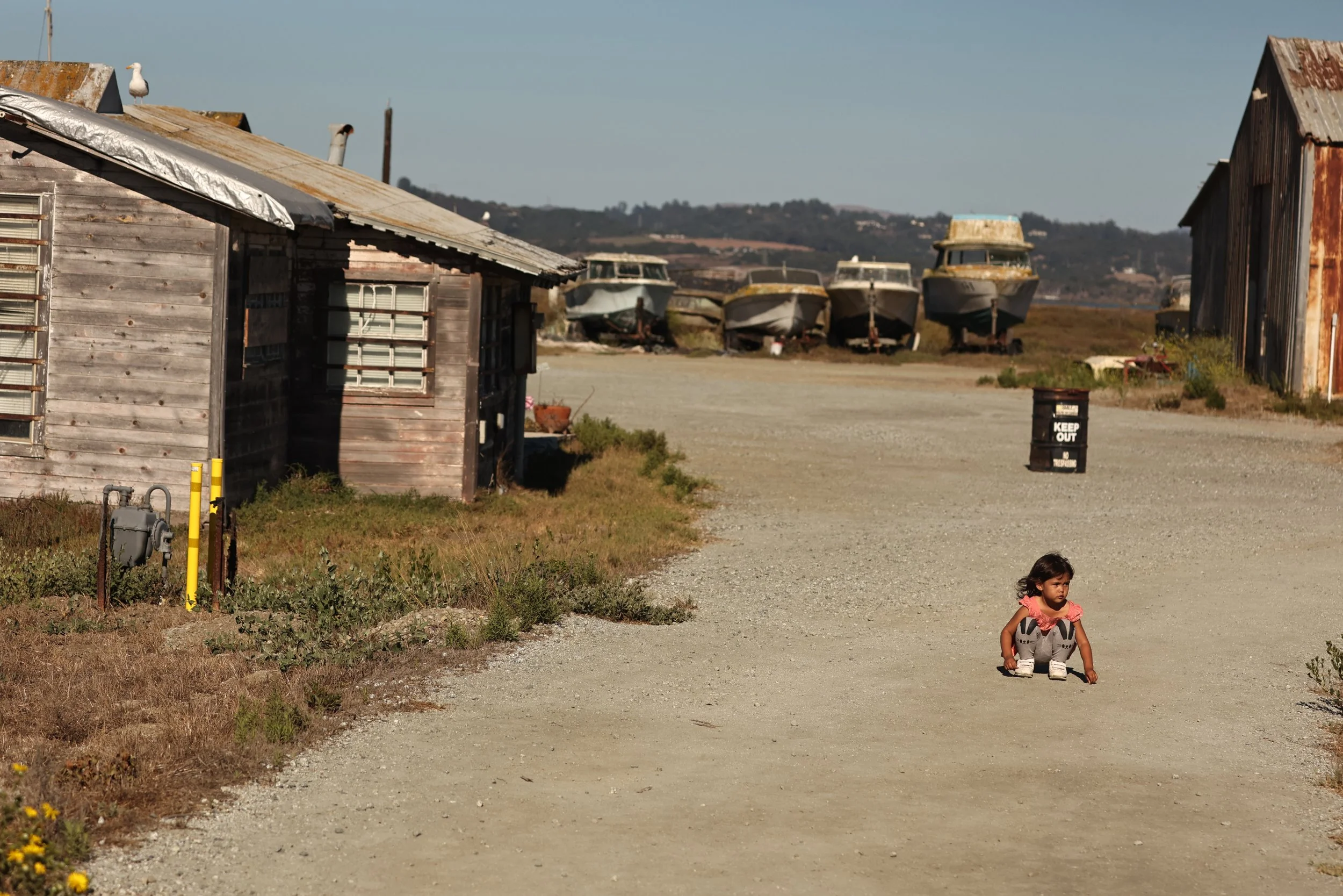ELKHORN SLOUGH MOSS LANDING CALIFORNIA AUGUST 2022 (506).JPG