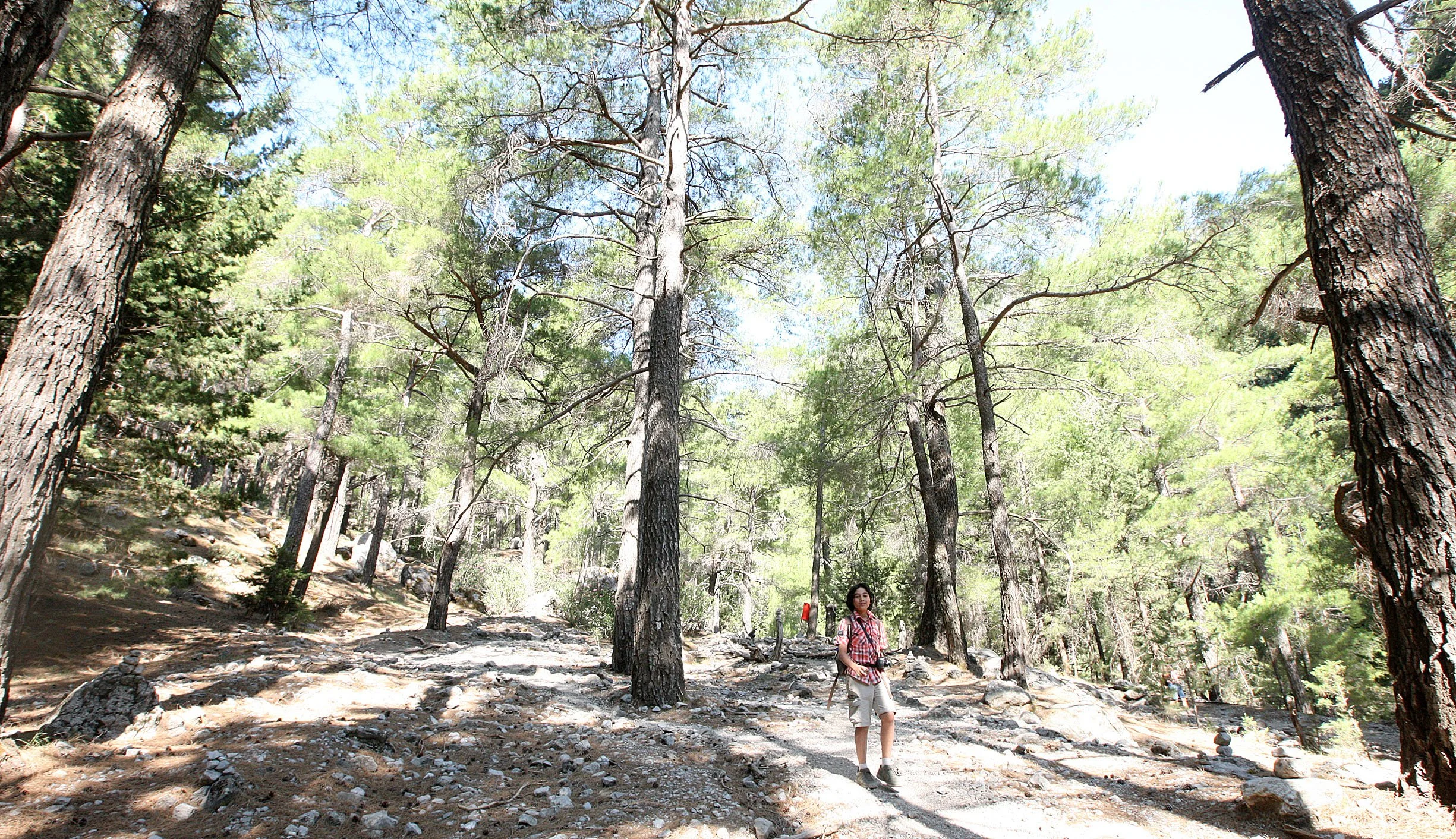 SAMARIA GORGE NATIONAL PARK CRETE (28).JPG