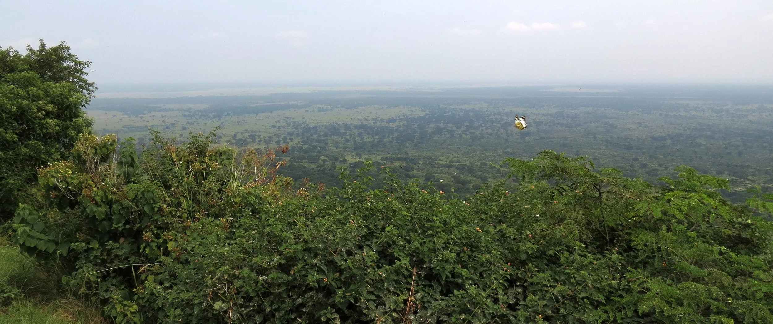 QUEEN ELIZABETH NATIONAL PARK UGANDA (20).JPG