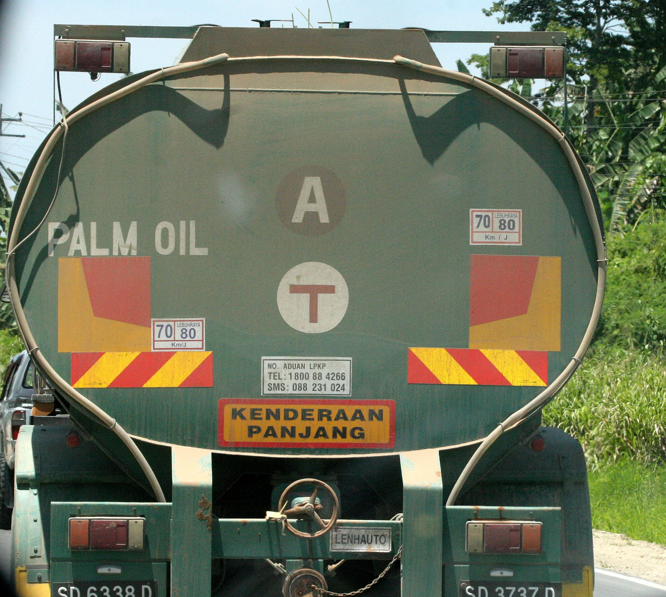 TABIN WILDLIFE RESERVE - OIL PALMS (2).JPG
