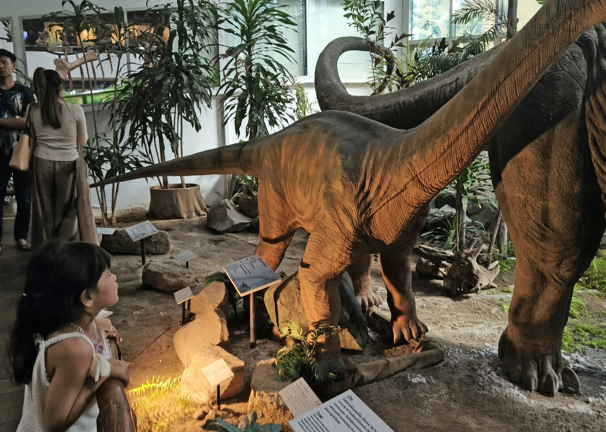 Phu Wiang Dinosaur Museum Khon Kaen Province (40).jpg