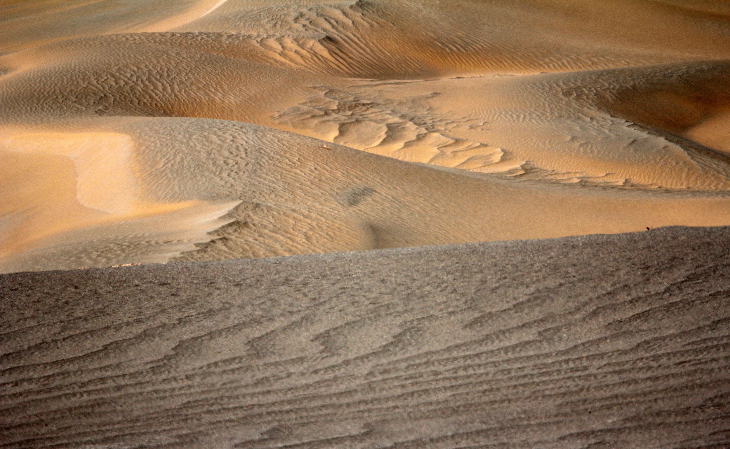 LOP NUR WILD BACTRIAN CAMEL RESERVE - XINJIANG CHINA (135).JPG