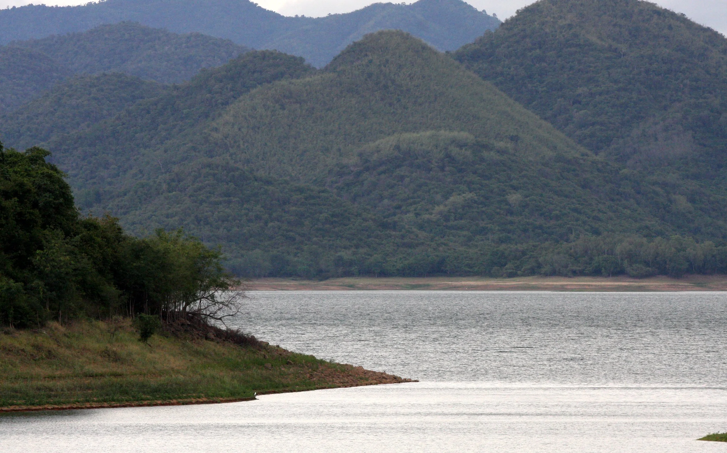 2008 Kaeng Krachan NP Trip with Cokie & Som (47).JPG