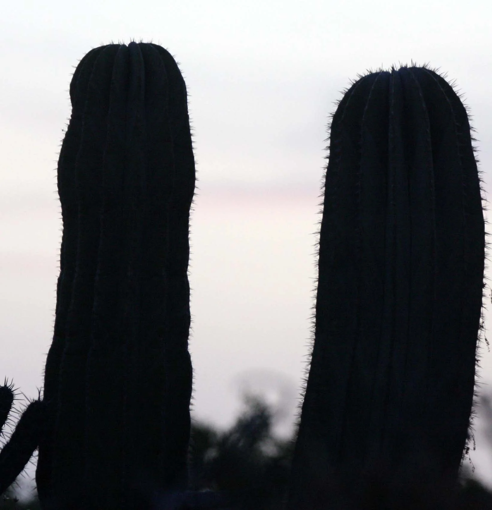 ISLA SANTA CATALINA BAJA MEXIO - SUNSET LANDSCAPES (21).JPG
