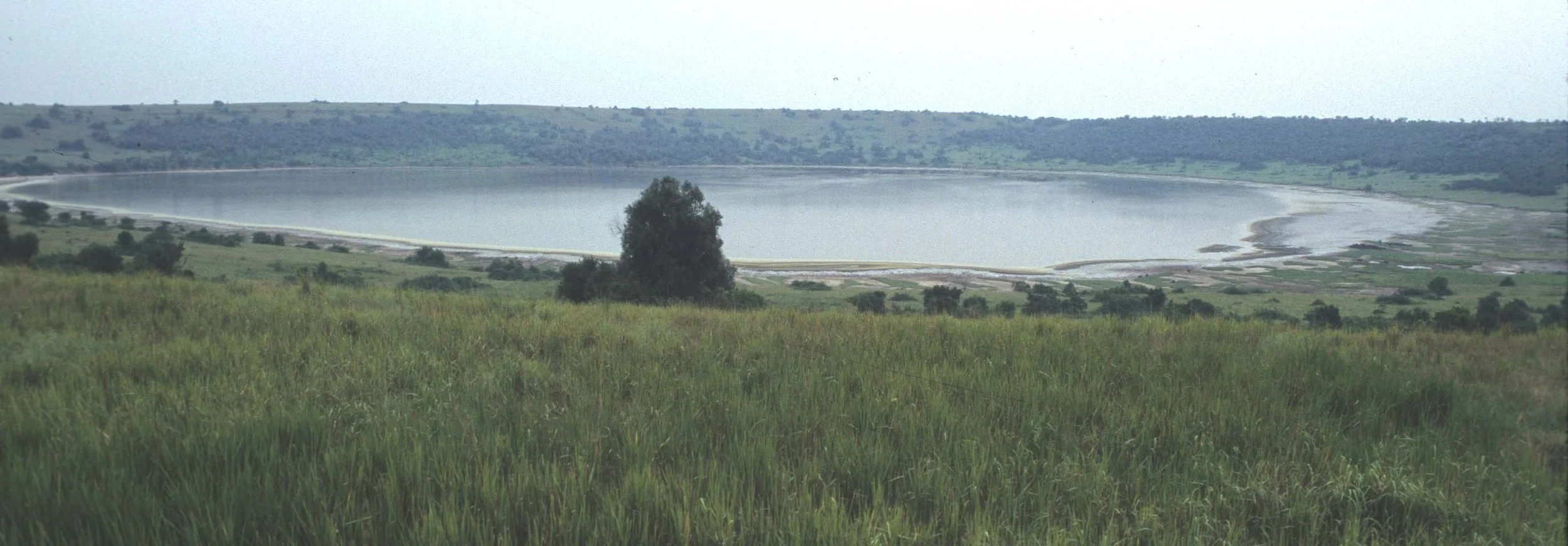UGANDA - SODA LAKE - QE NP.jpg
