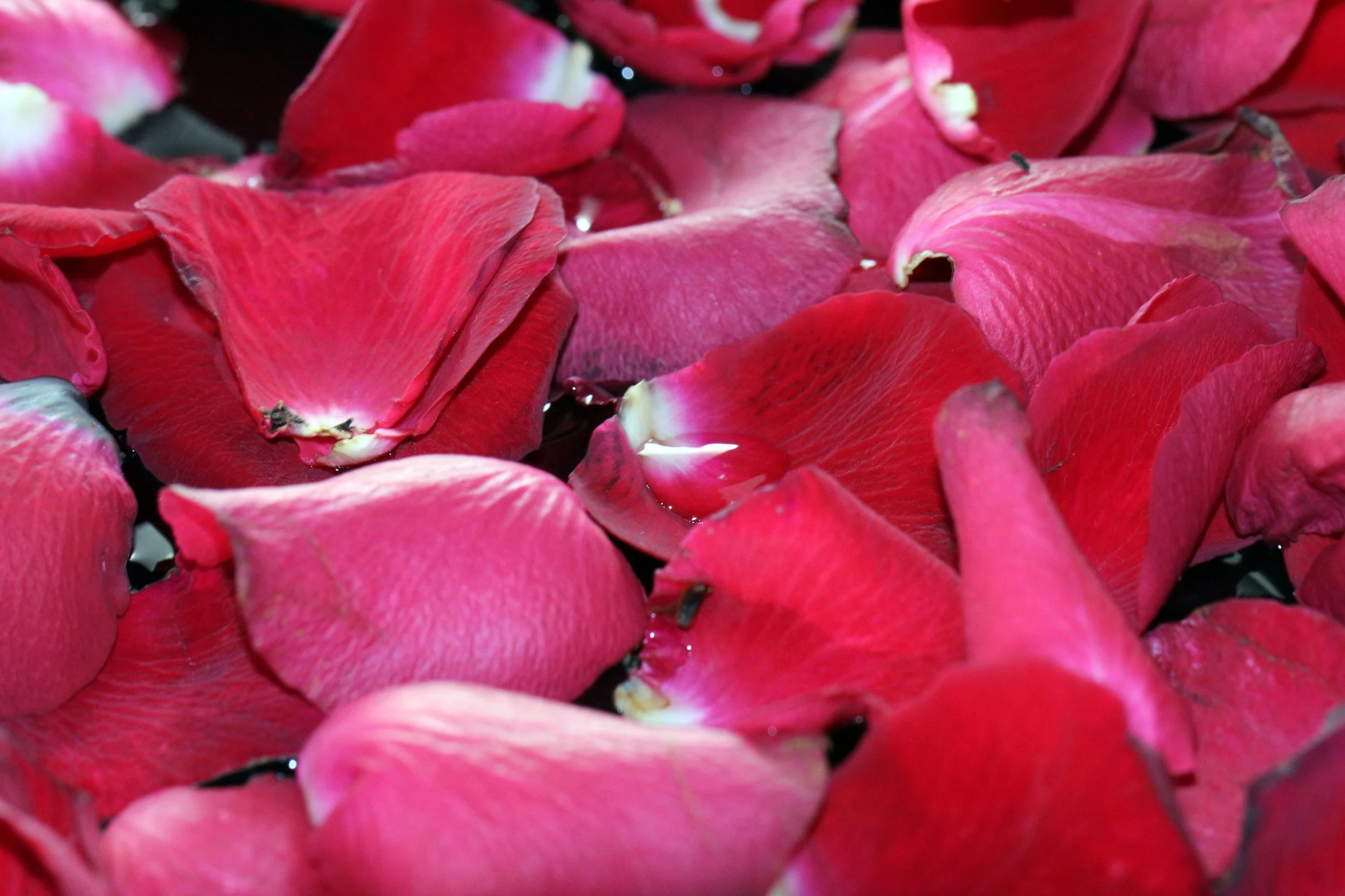 2013 Cha'am and Petchaburi with Family & Friends (66).JPG