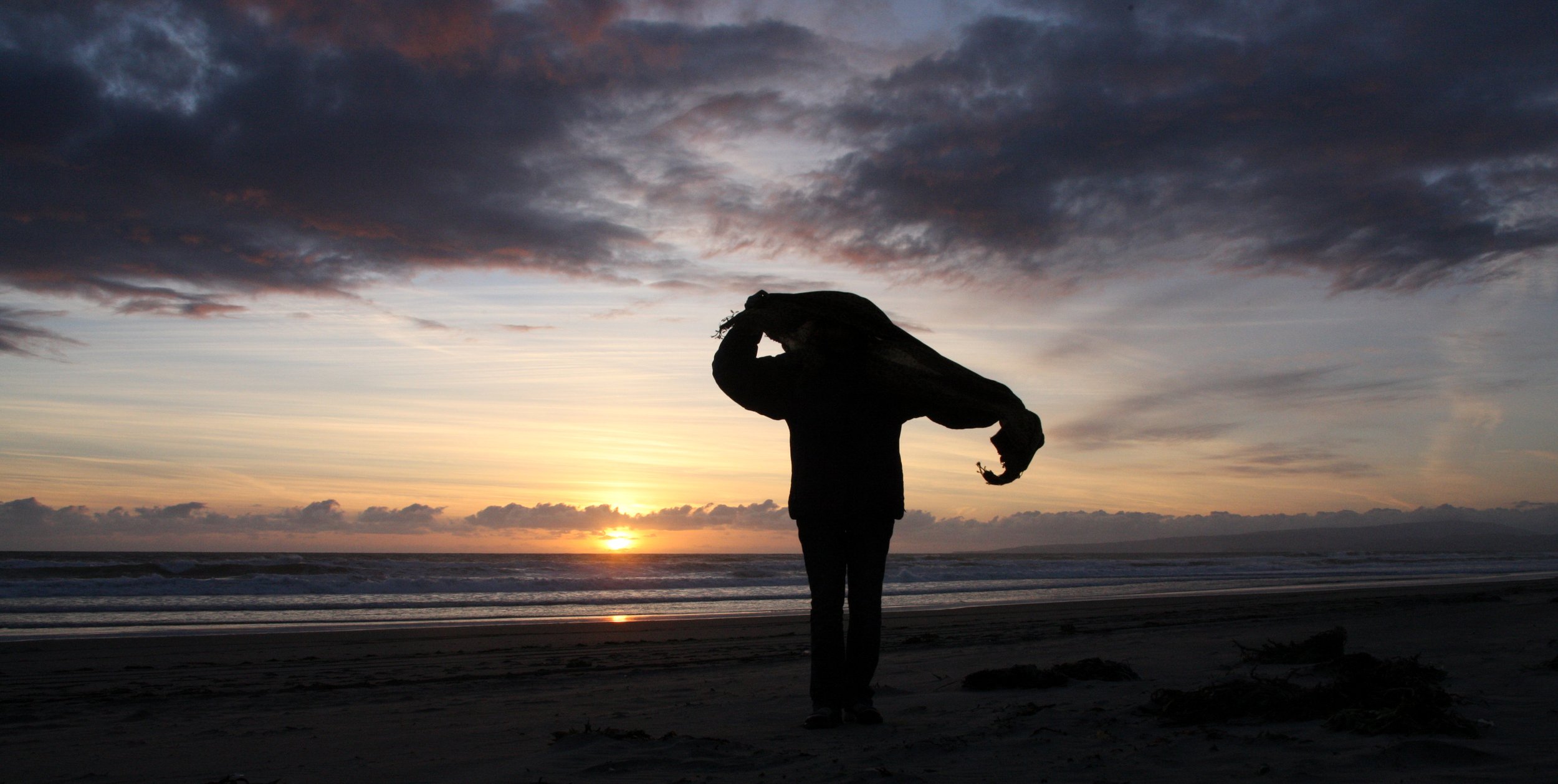 2010-4-1 SUNSET BEACH STATE BEACH CALIFORNIA ROADTRIP 2010 (24).JPG