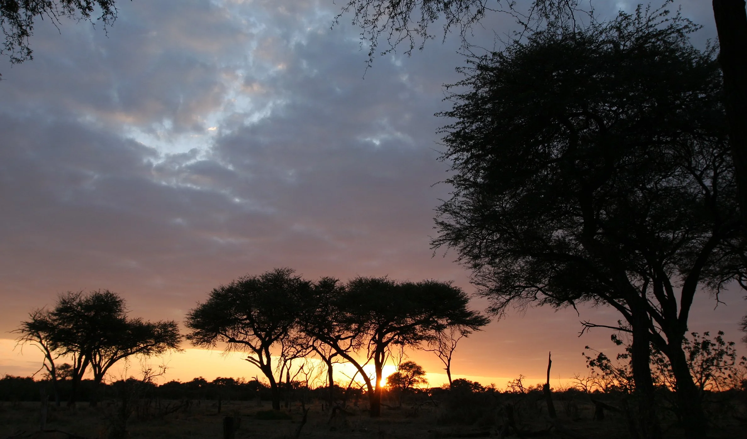 BOTSWANA - KHWAI CAMP SUNRISE - OKAVANGO (5).JPG