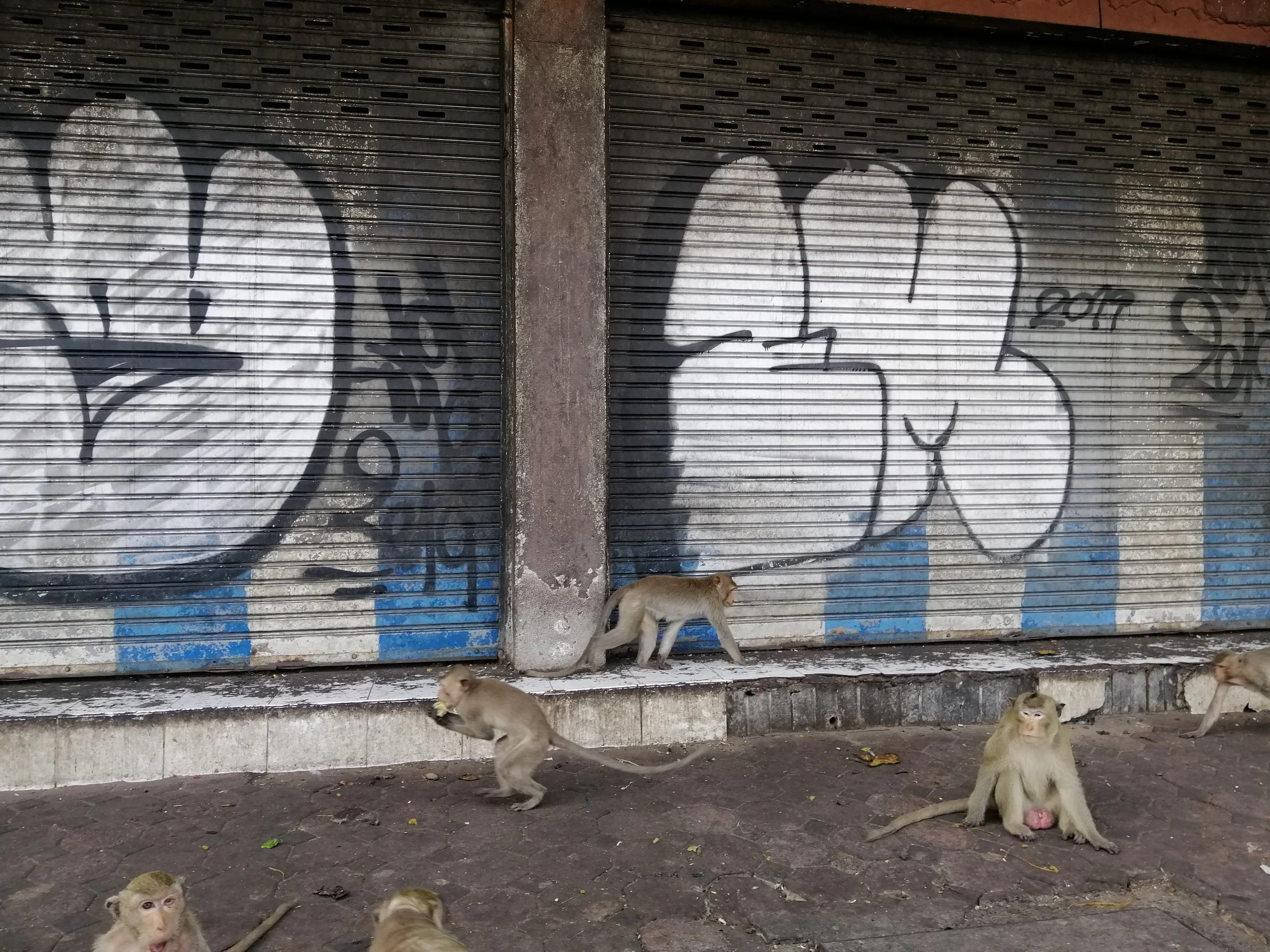 2020 Kamphaeng Phet World Heritage Trip with Cokie (121).jpg