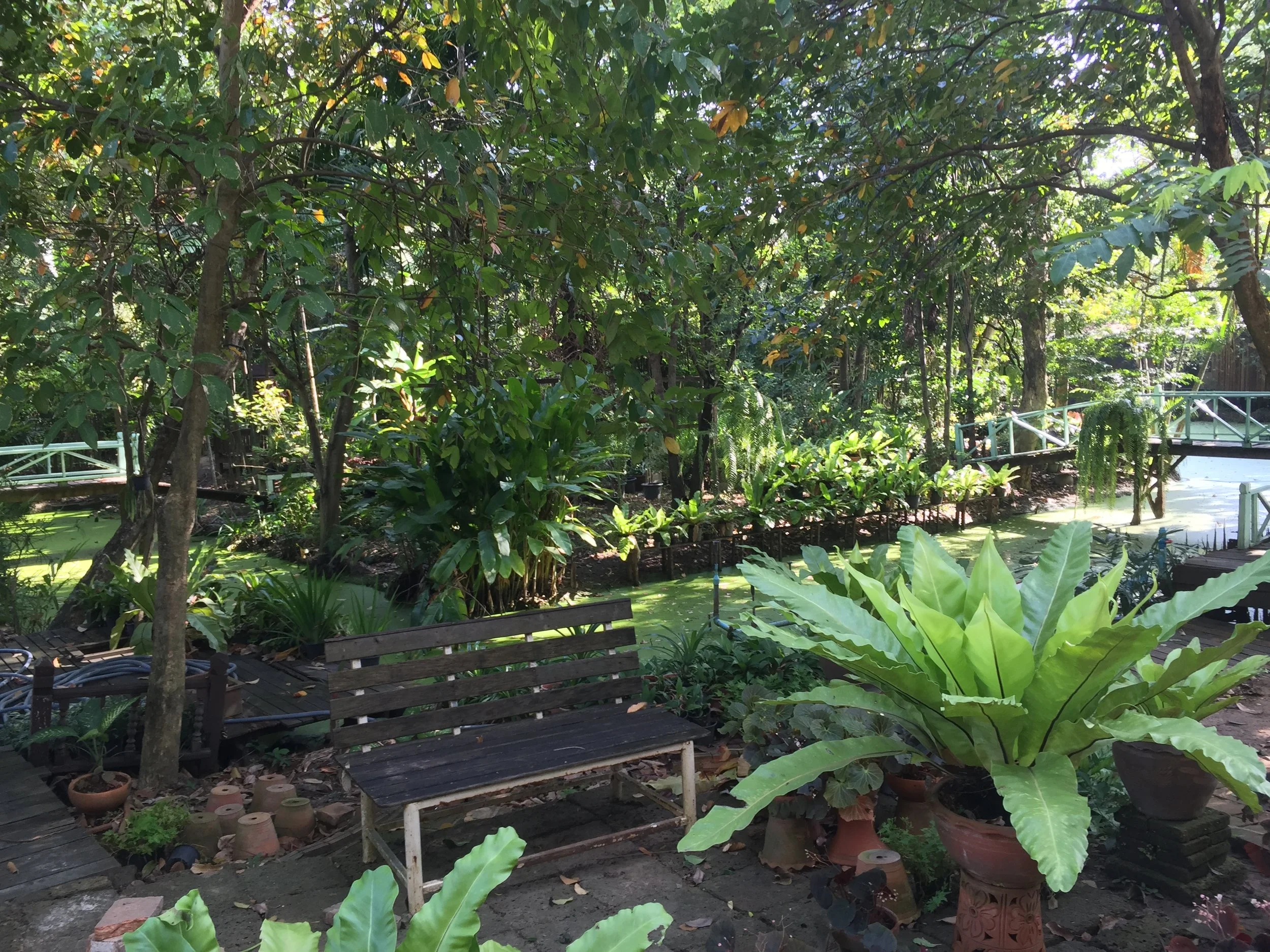 BKK - RIDE TO SUAN THIP PAKKRET FALL 2015 (22).JPG