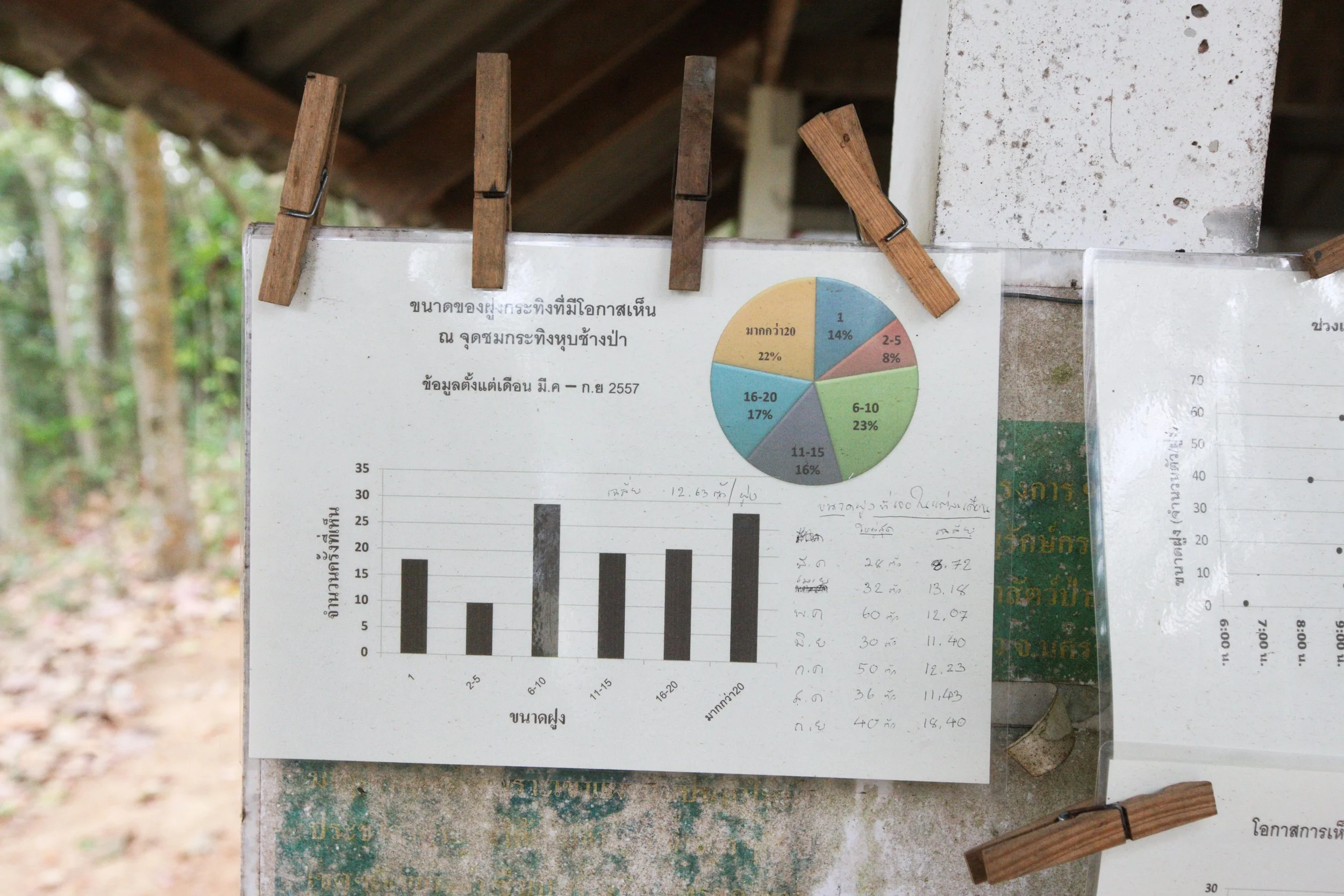 2015 Khao Pang Ma Nonhunting Area (163).JPG