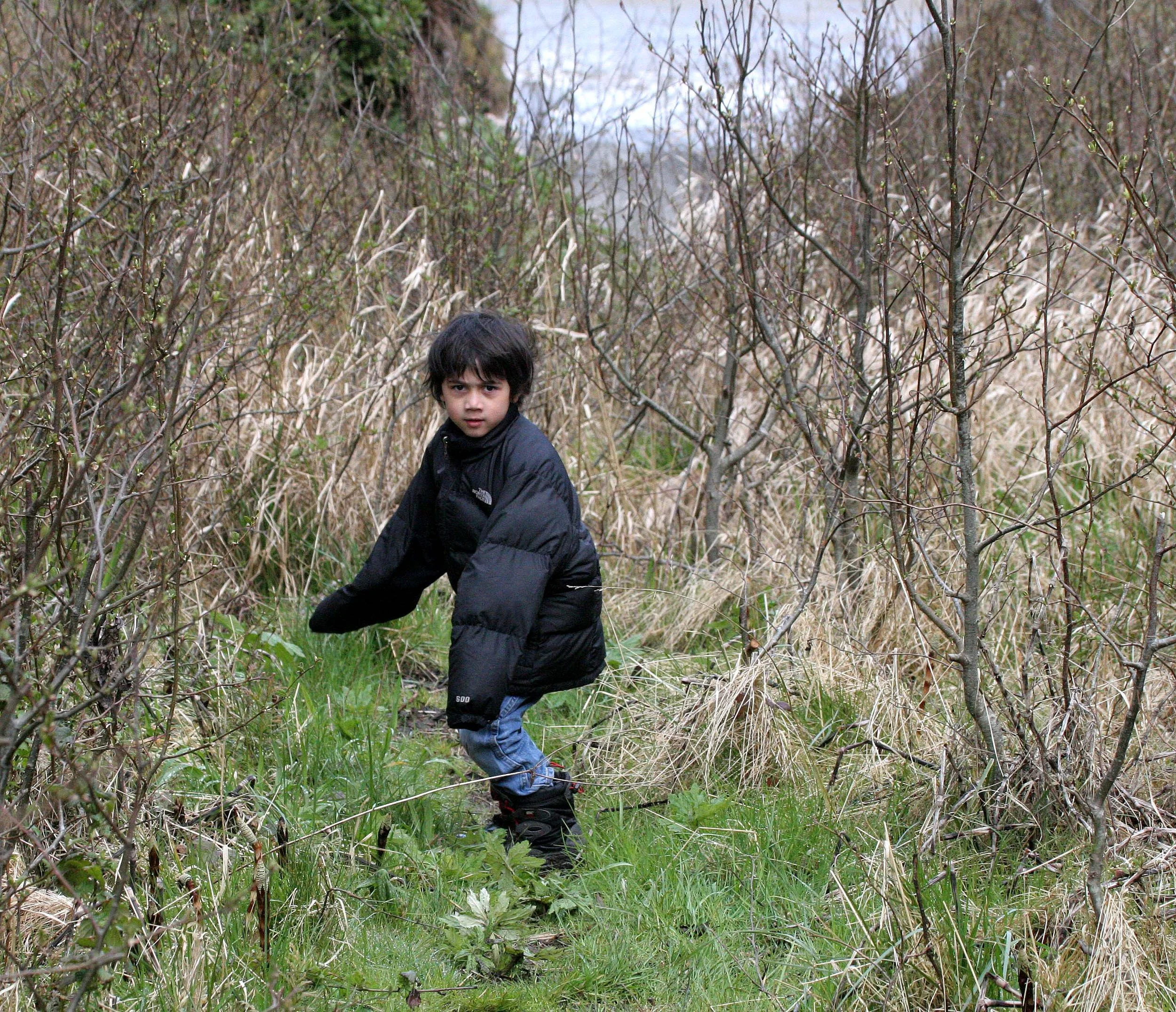 2008-4-20 COKIE ON LAKE FARM TRAIL.JPG