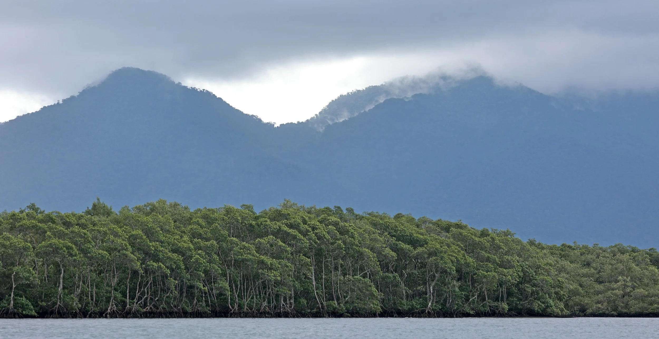 Superagüi National Park
