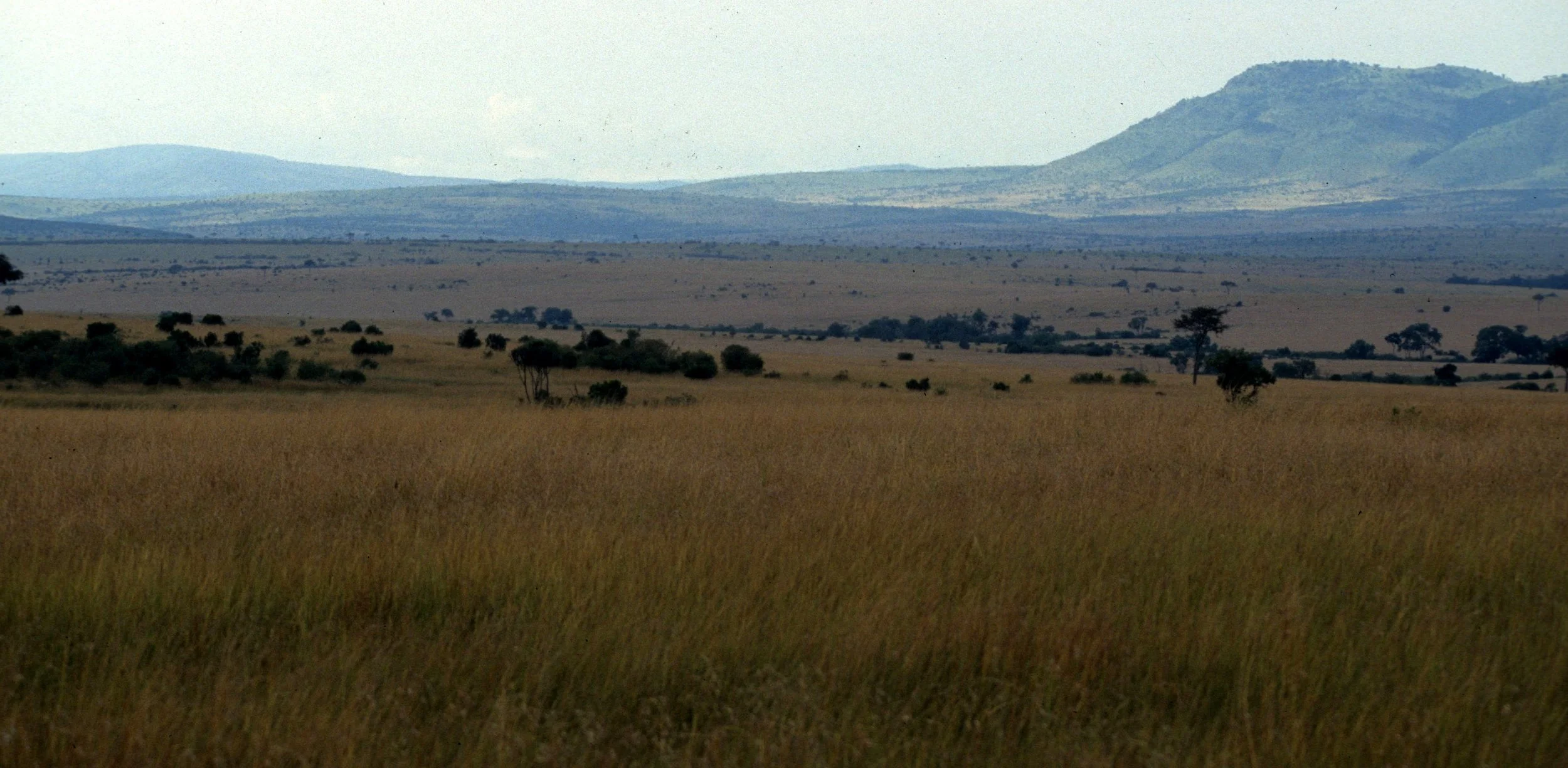 KENYA - SAVANAH BIOME (5).jpg