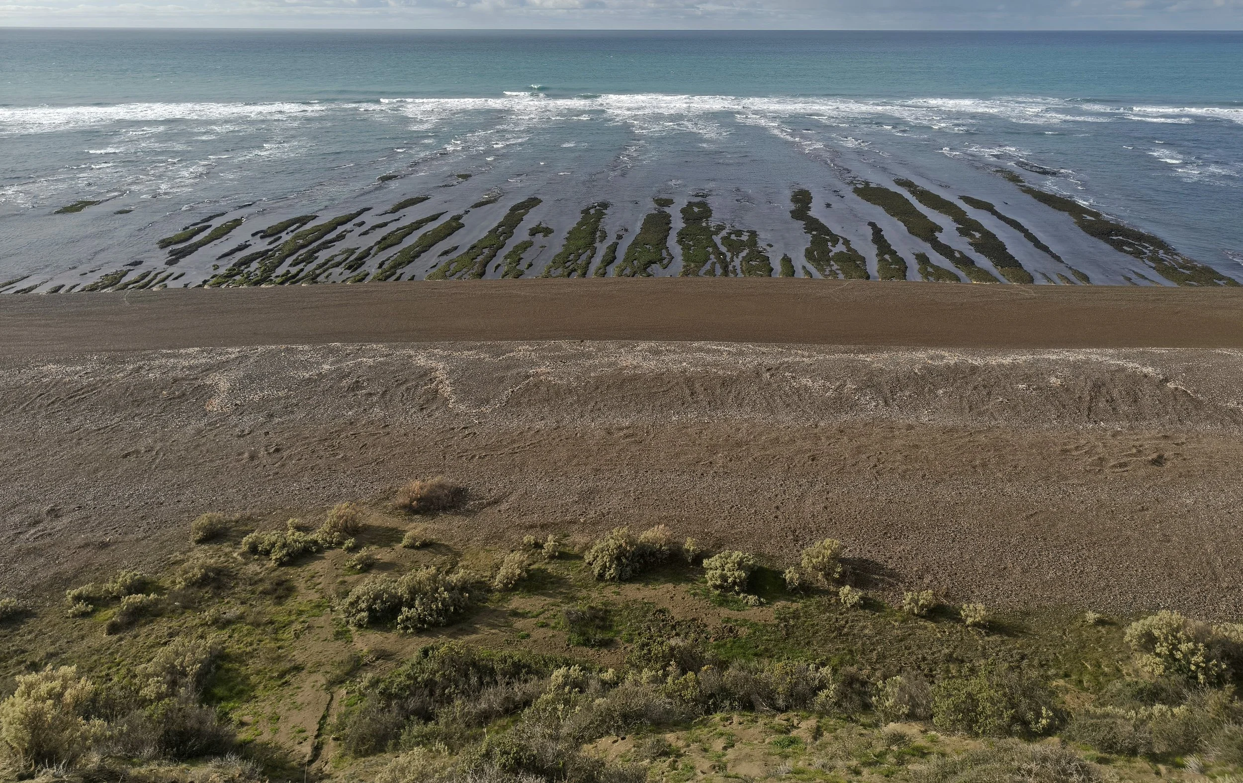 Valdes Peninsula, Chubut Province, Argentina (39).jpg