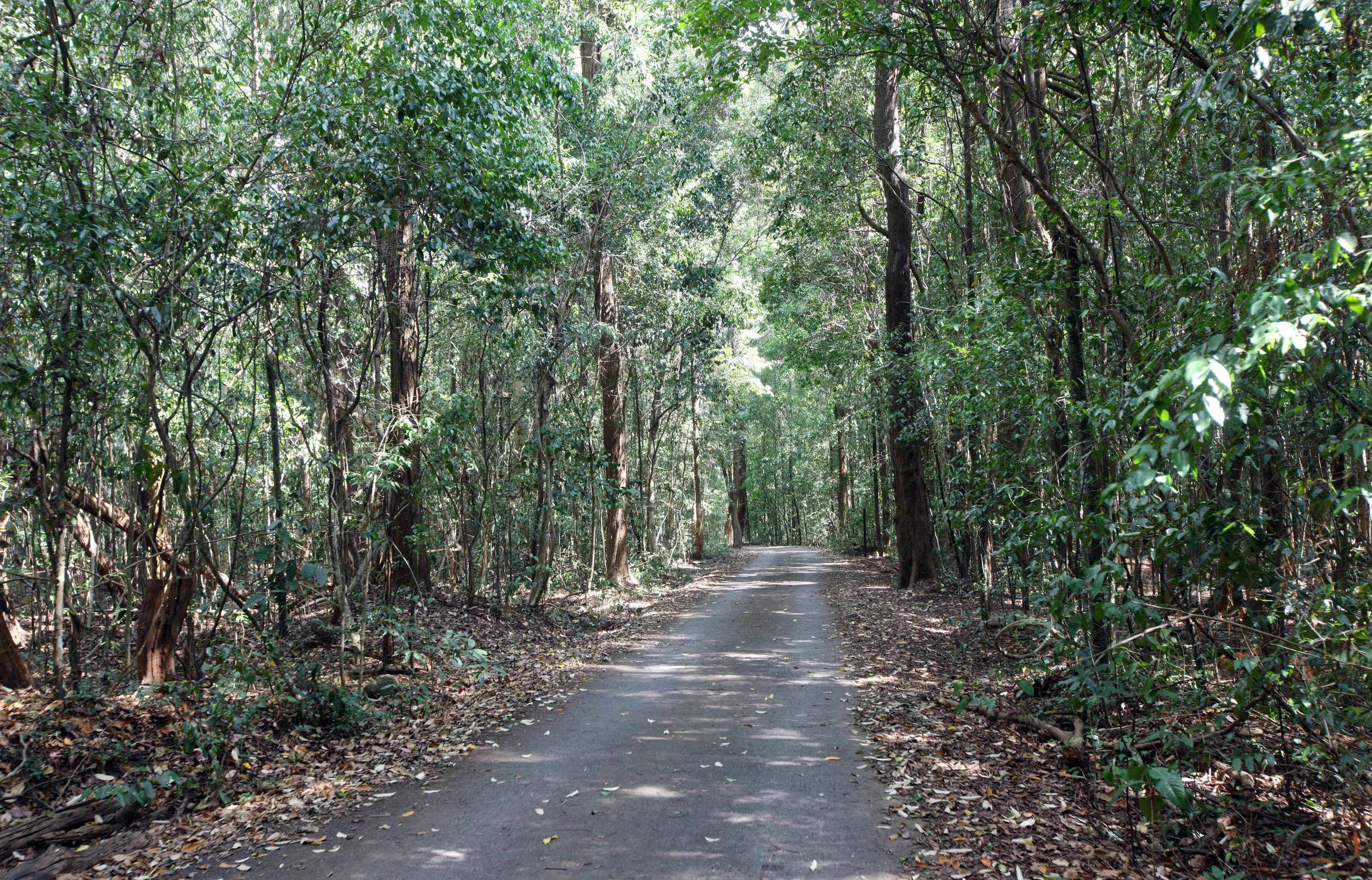 2015 Khao Pang Ma Nonhunting Area (21).JPG