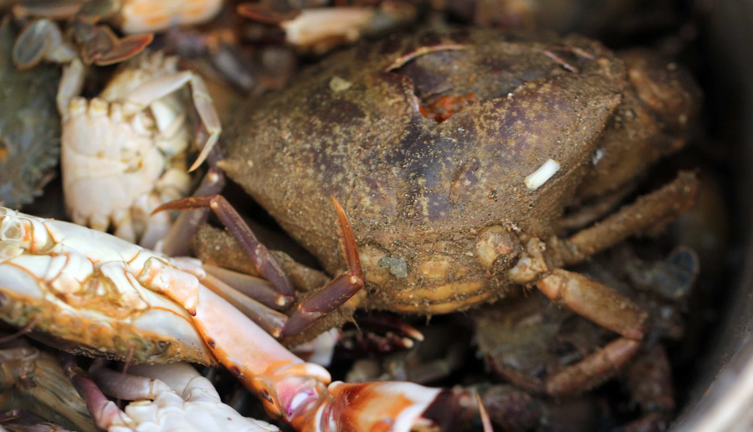 2015 Koh Lanta Songkran with friends from ISB (705).JPG