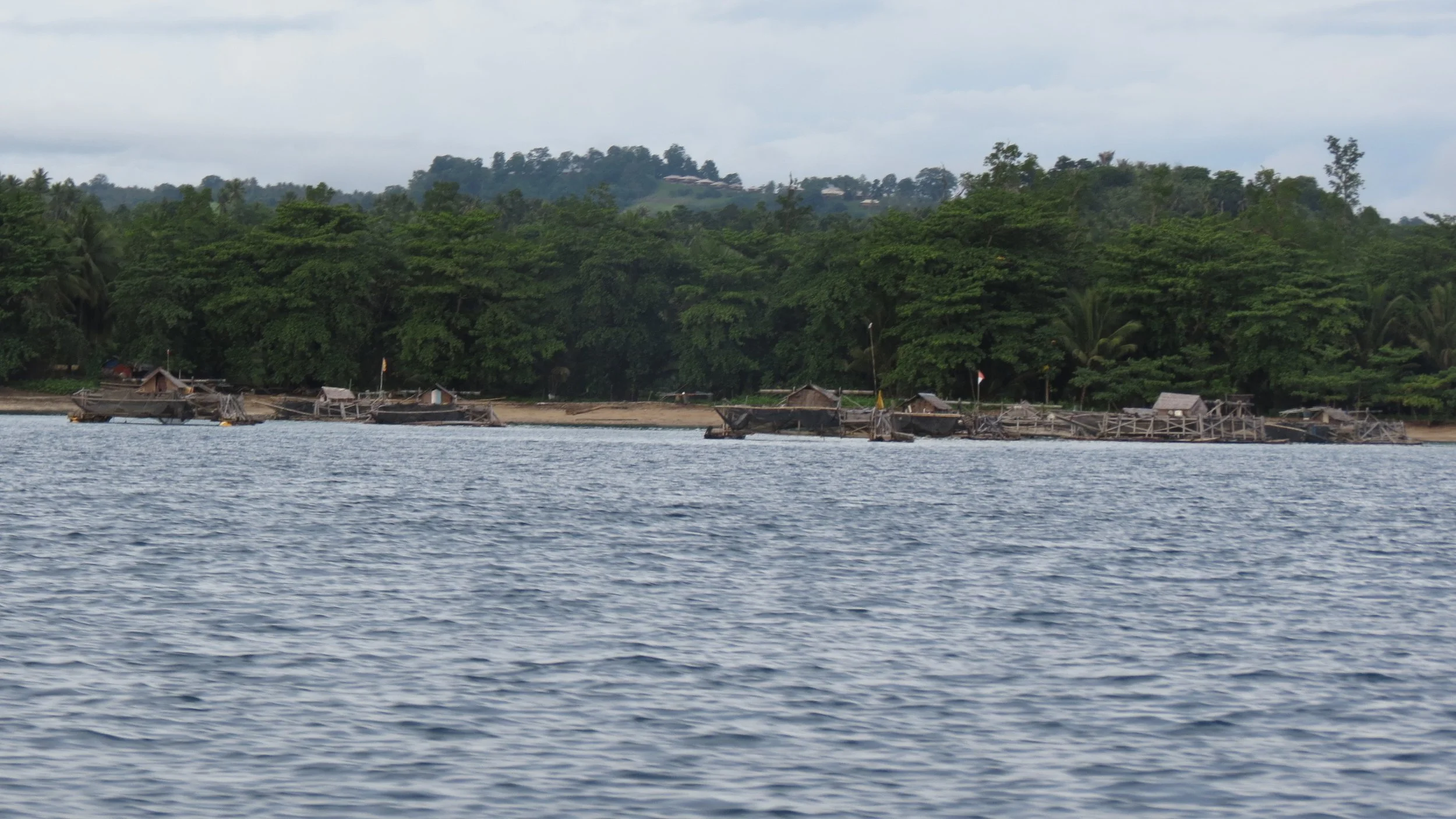 TANGKOKO NATIONAL PARK, SULAWESI INDONESIA  (13).JPG