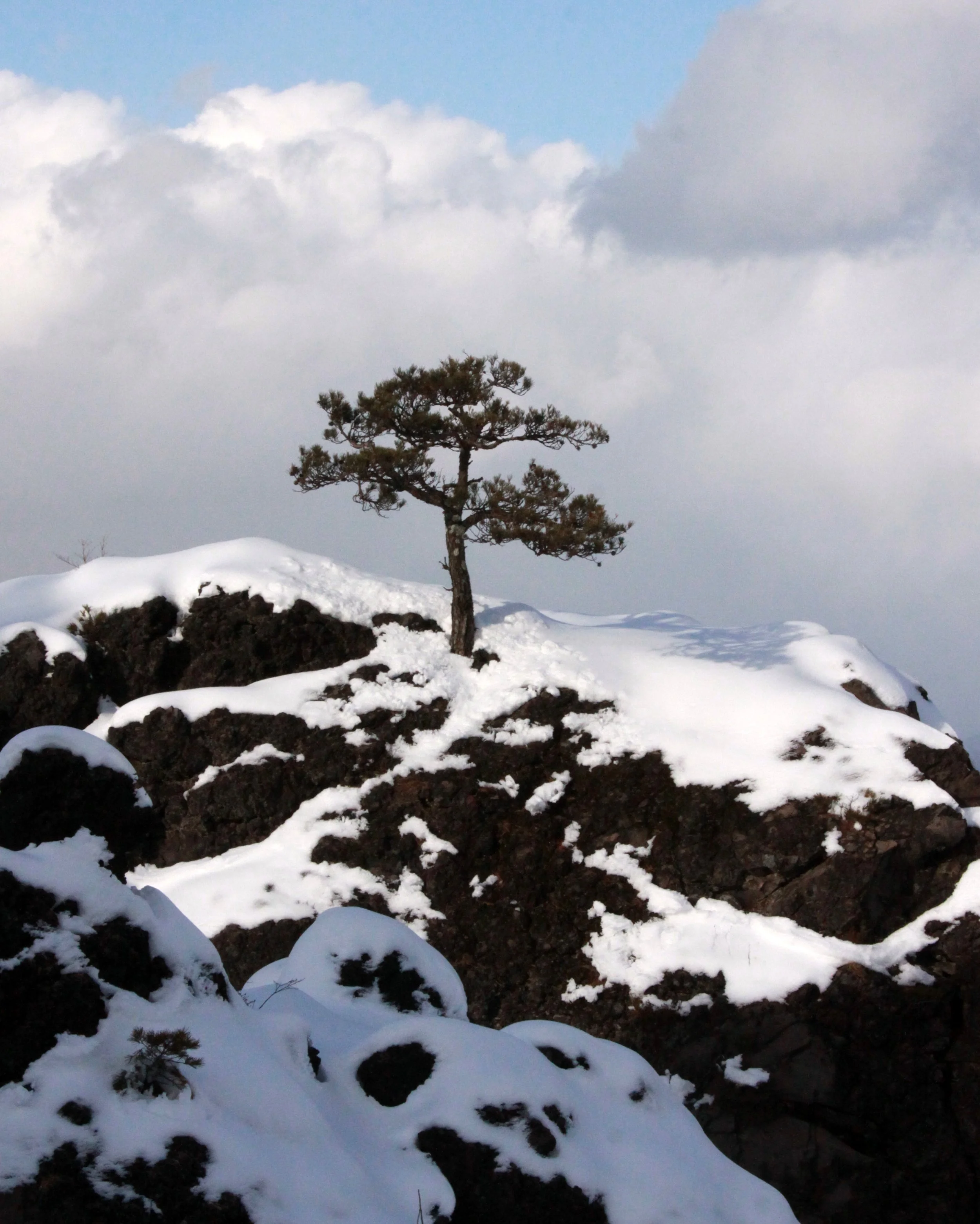 MOUNT ASAMA - JOSHIN'ETSUKOGEN NATIONAL PARK JAPAN (116).JPG