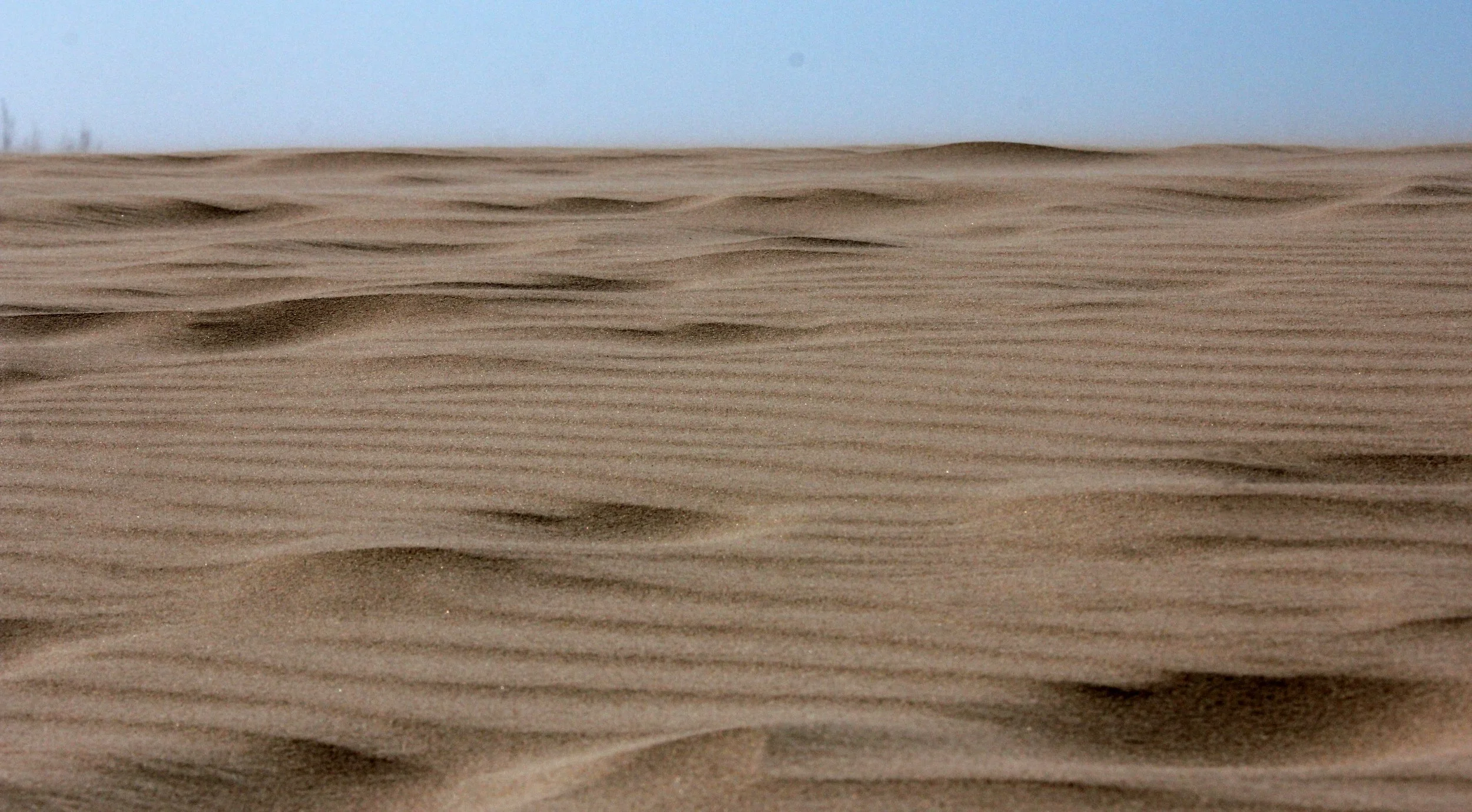 INNER MONGOLIA 2013 (858).JPG