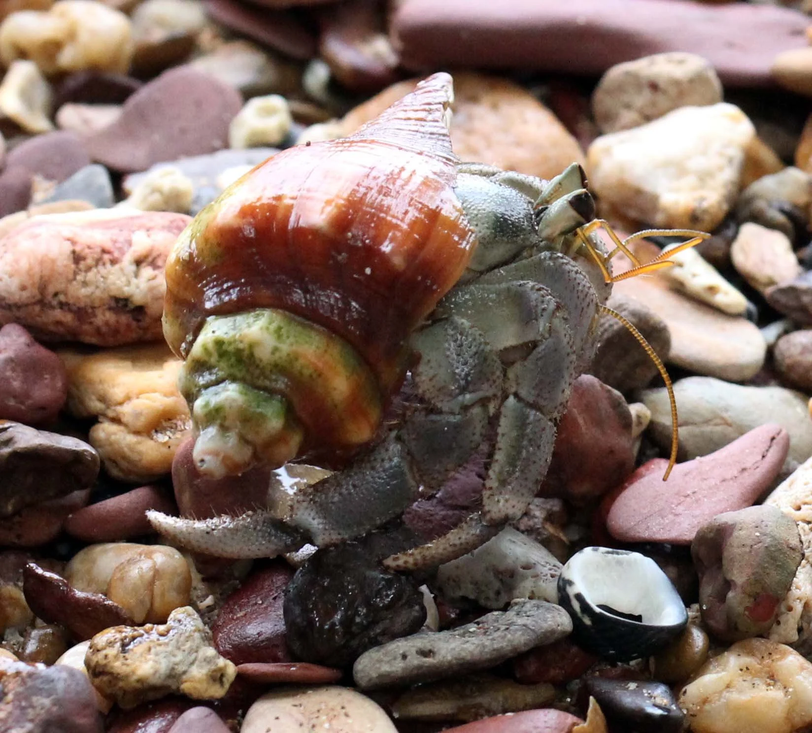 2013 KOH LANTA - OCTOBER BREAK 2013 (257).JPG