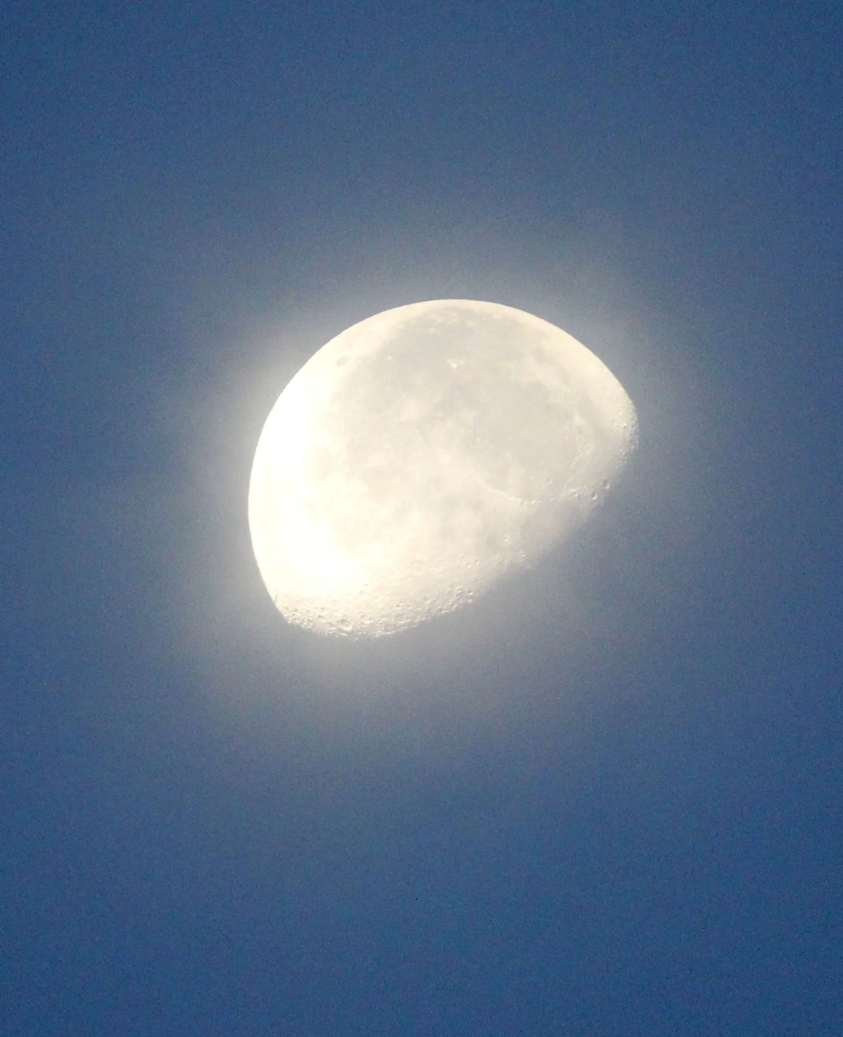 TANGKOKO NATIONAL PARK SULAWESI INDONESIA (16).JPG