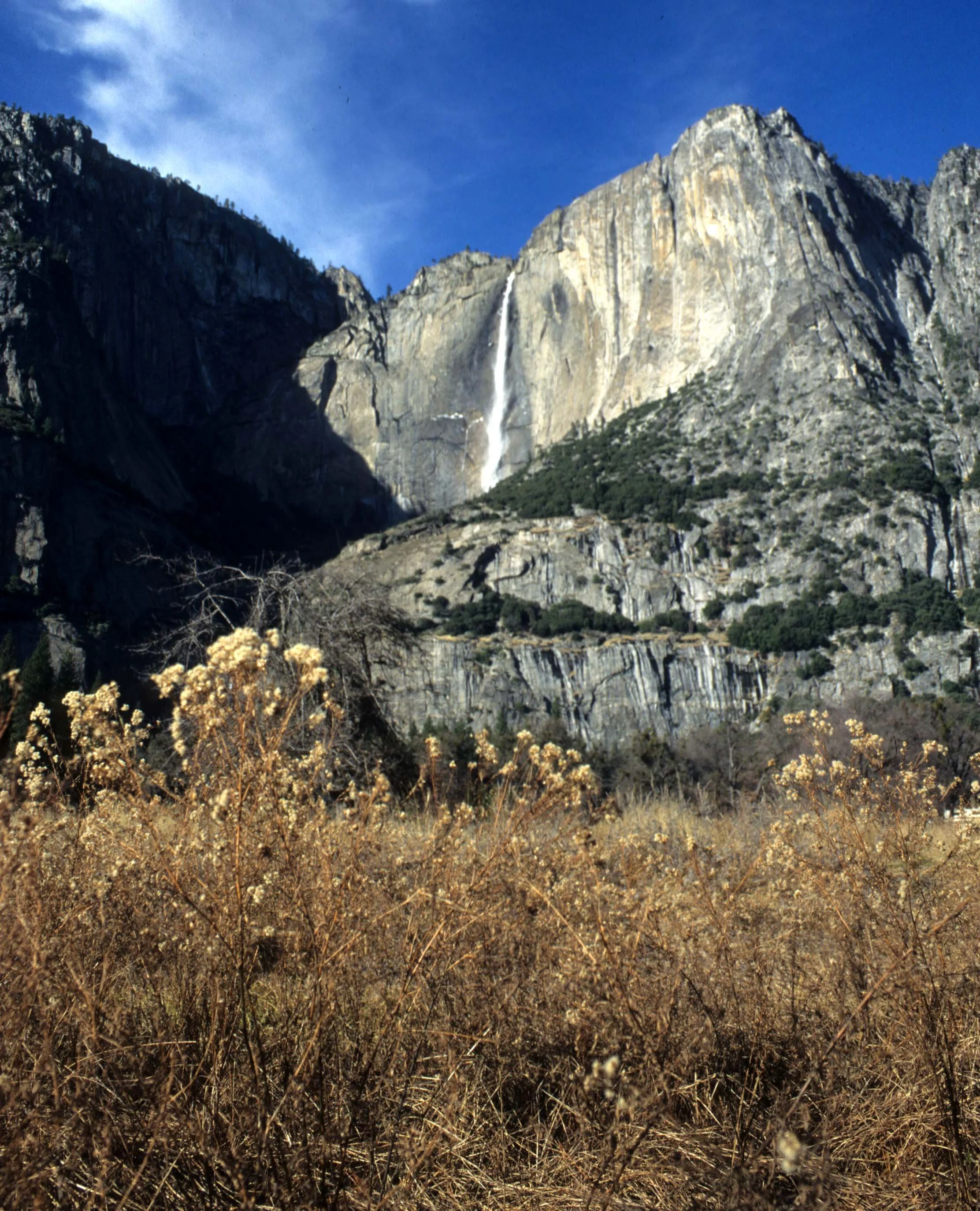 CALIFORNIA - YOSEMITE NATIONAL PARK (6).jpg
