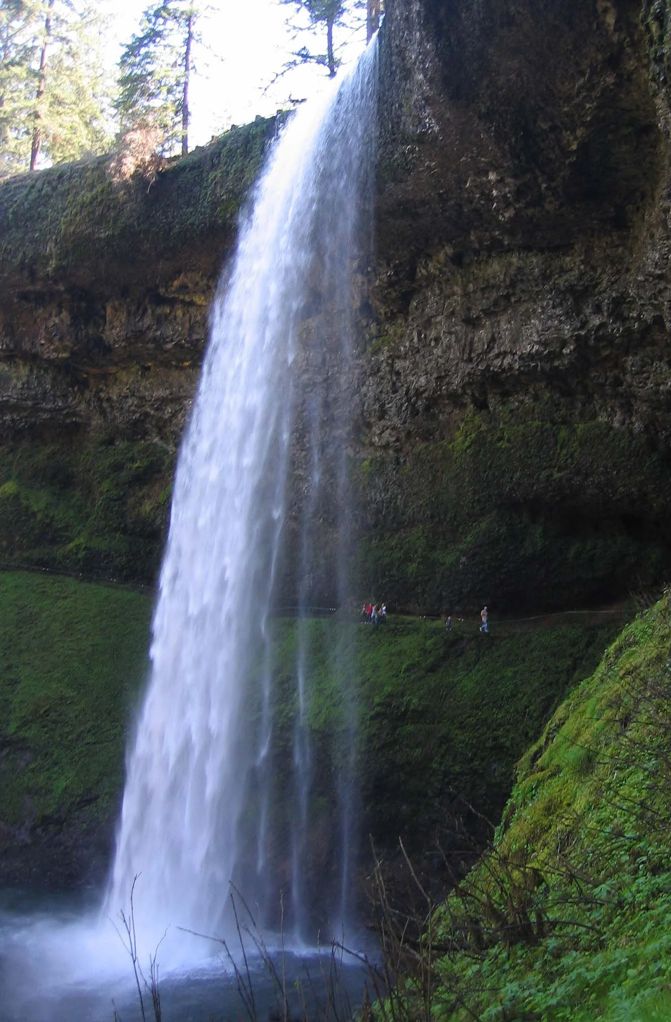 OREGON - SILVER FALLS STATE PARK (6).jpg