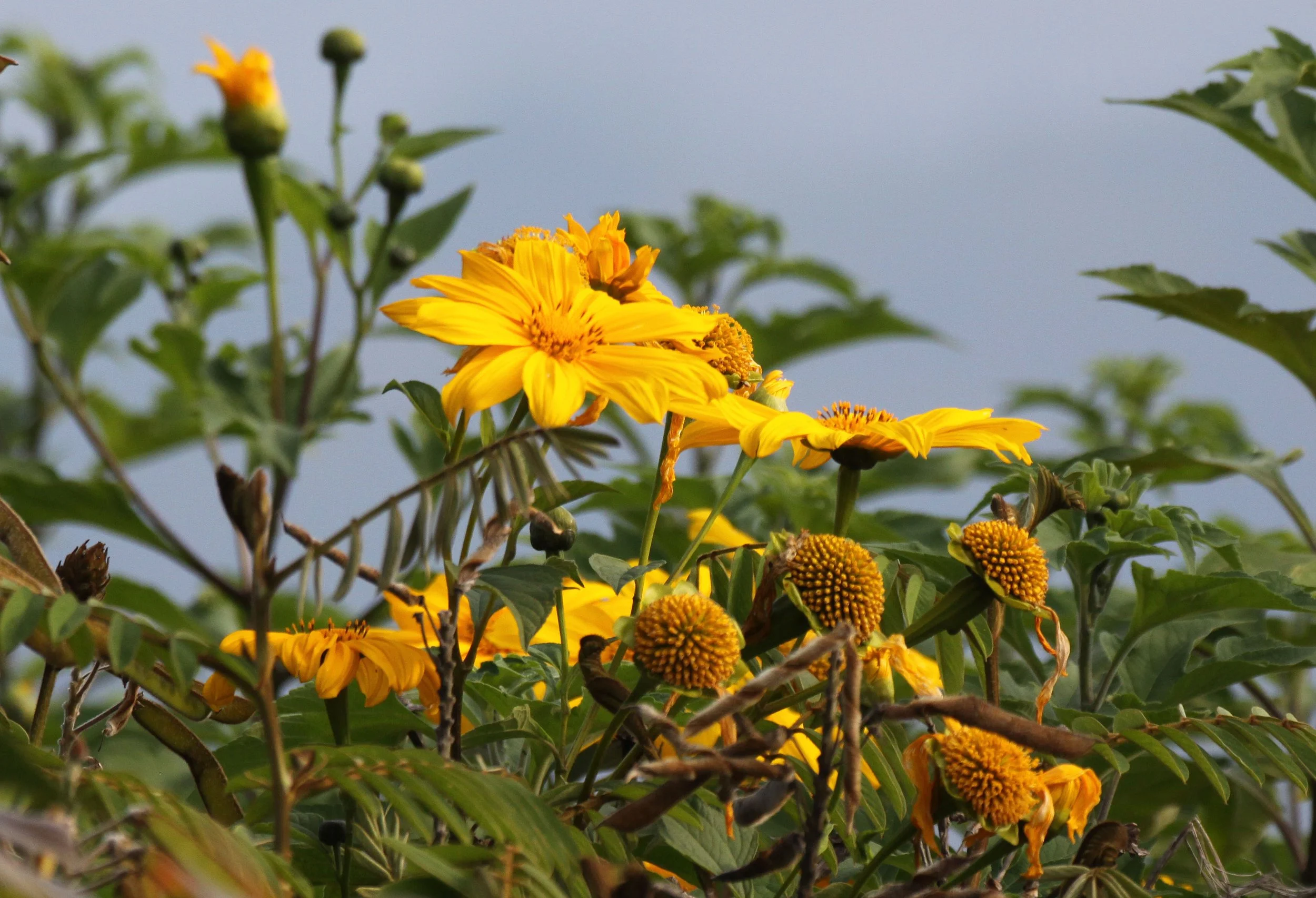 RUHENGERI RWANDA (143).JPG