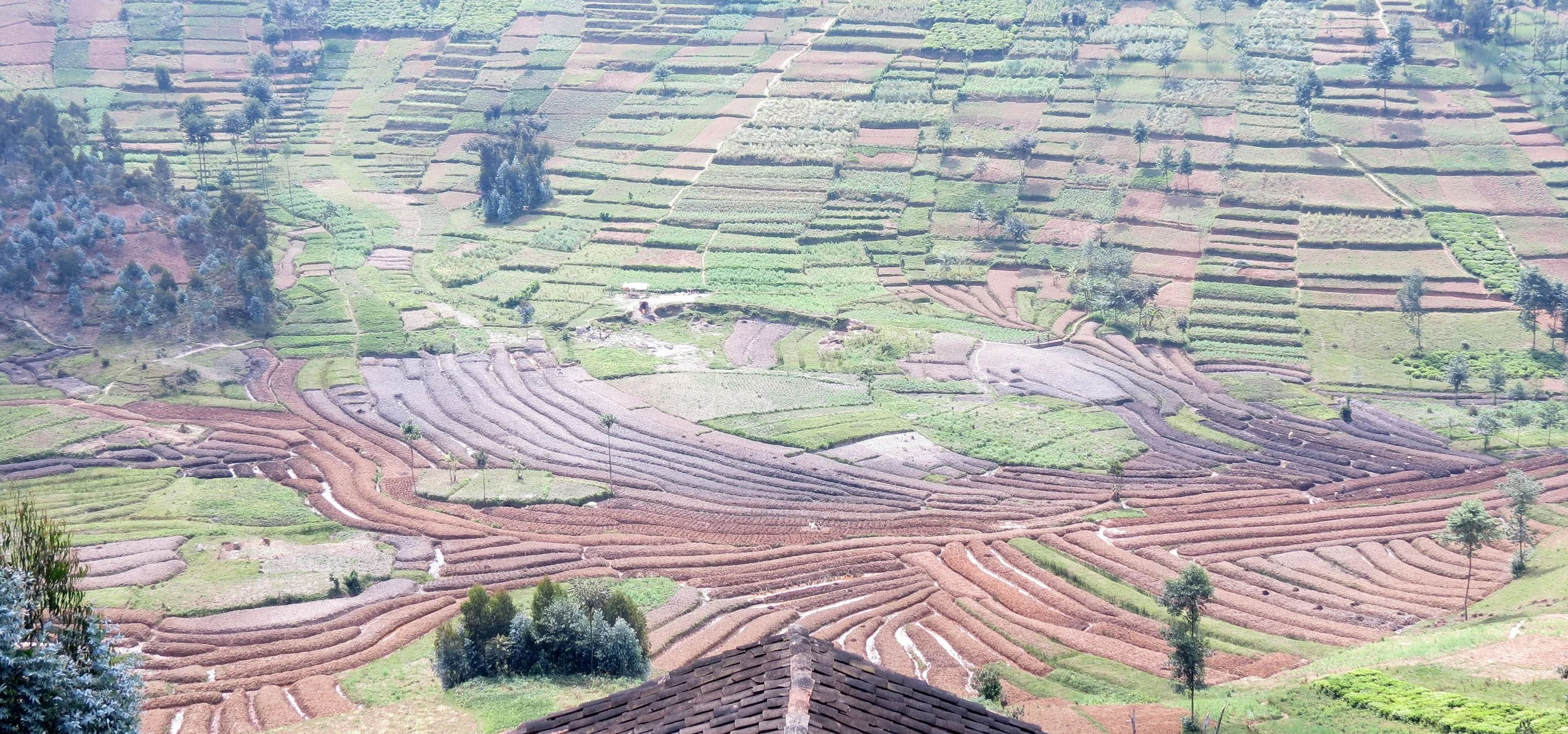 BUTARE RWANDA (28).JPG