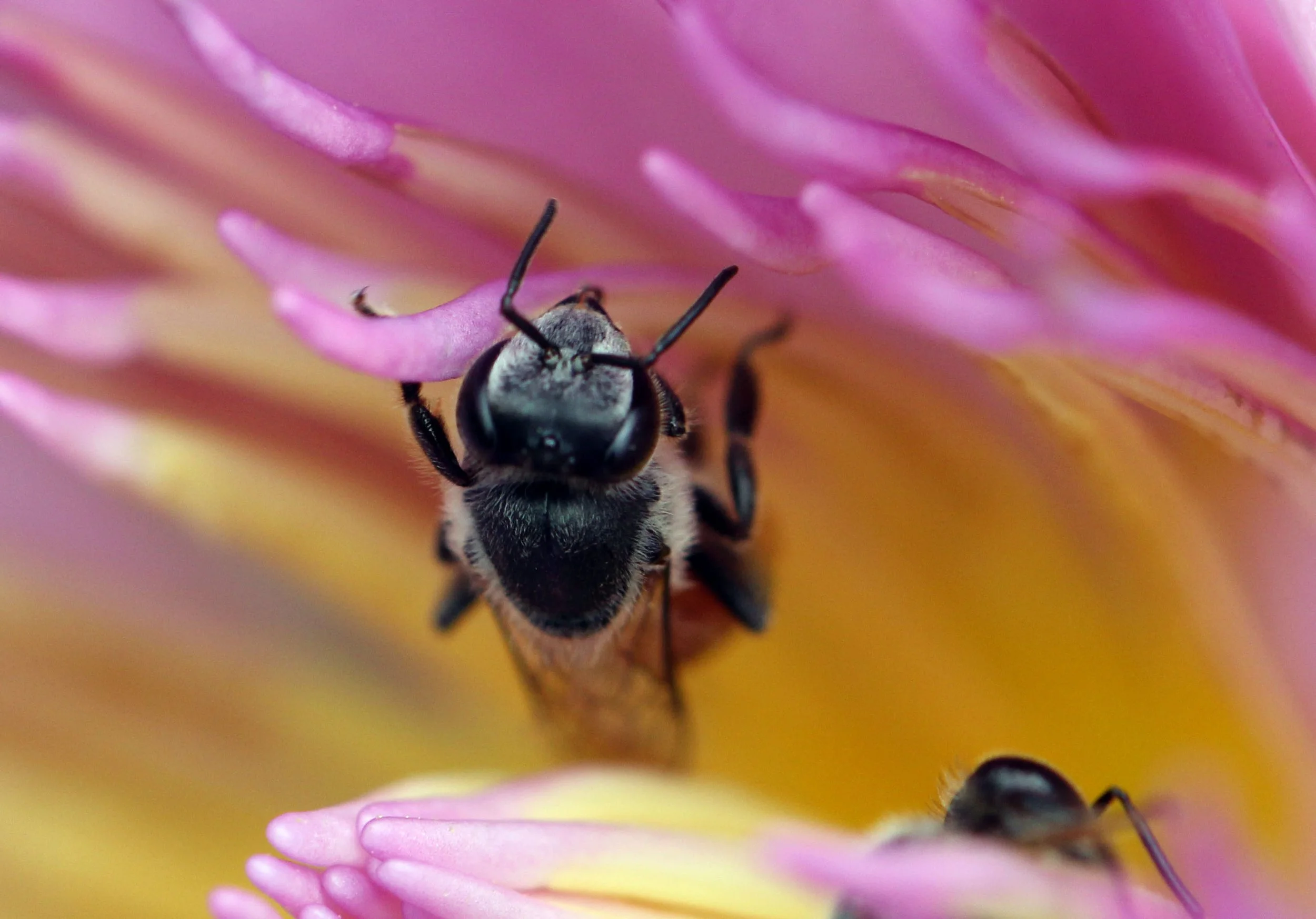 2013 Cha'am and Petchaburi with Family & Friends (48).JPG