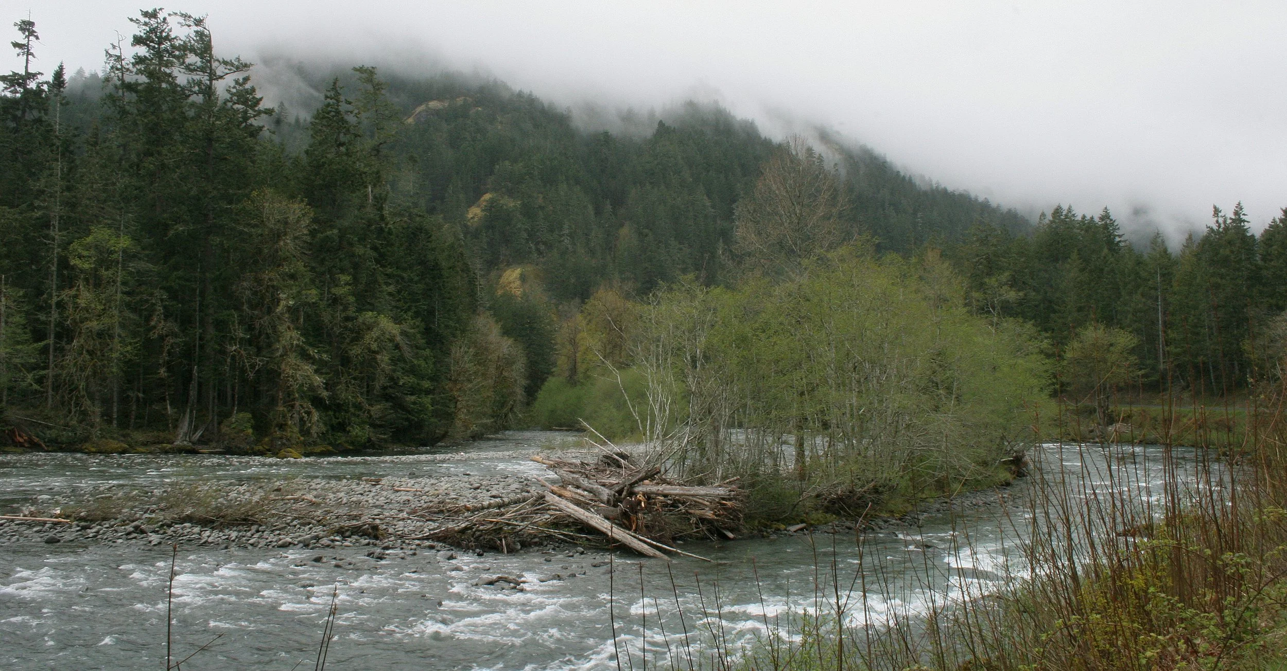 ELWHA RIVER VALLEY (3).JPG