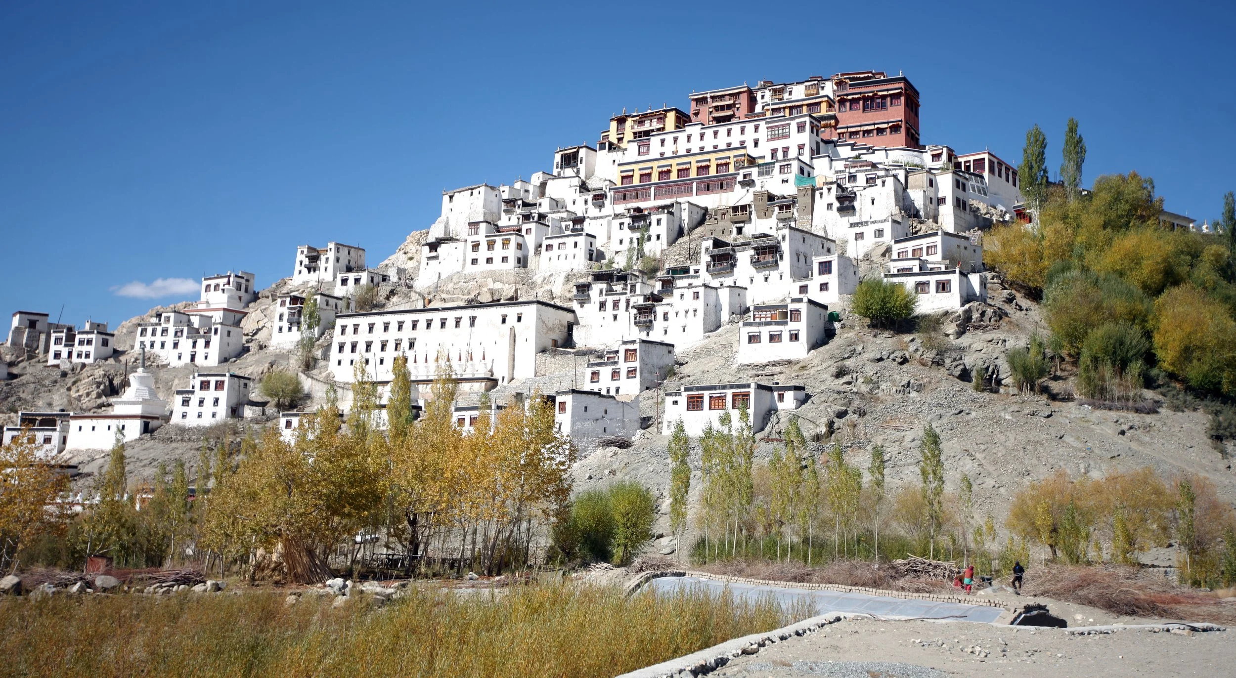 LEH - THIKSEY MONASTERY - LADAKH INDIA - SNOW LEOPARD TRIP 2013 (28).JPG