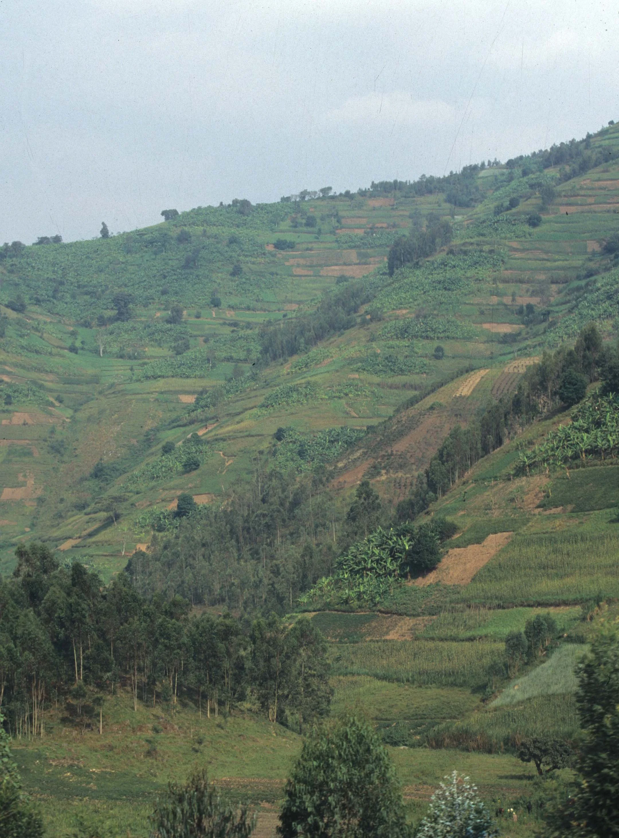 RWANDA COUNTRYSIDE 4.jpg