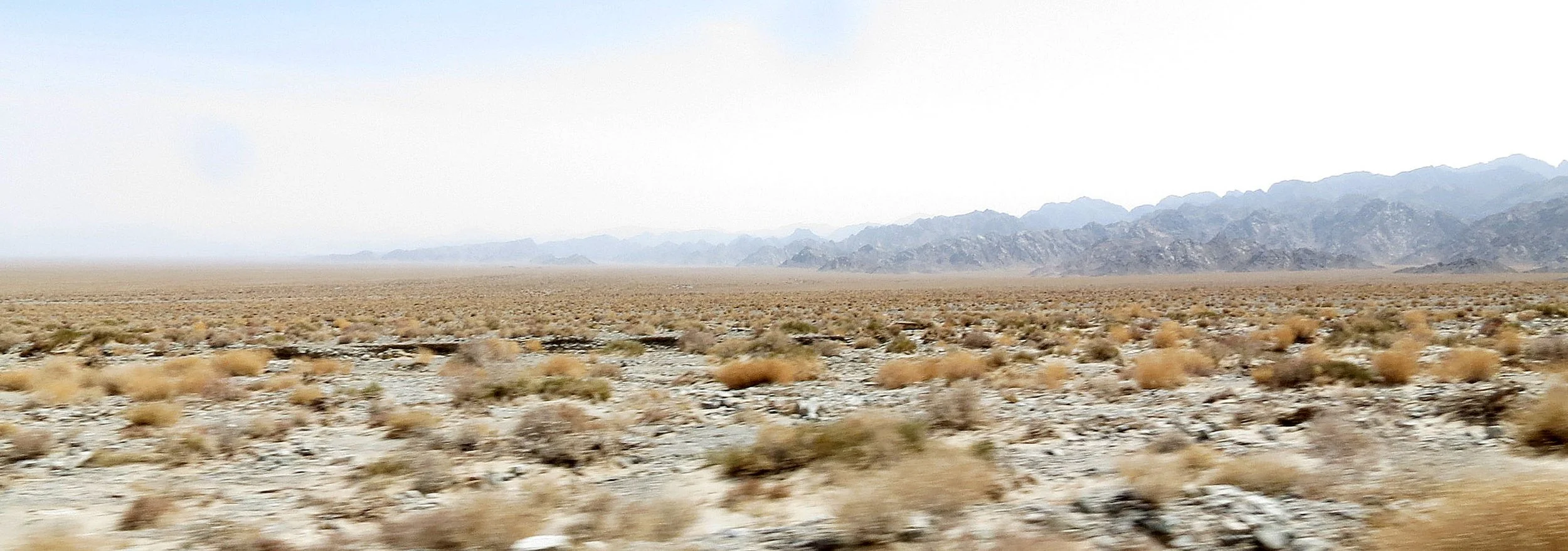 LOP NUR WILD BACTRIAN CAMEL RESERVE - XINJIANG CHINA (4).JPG