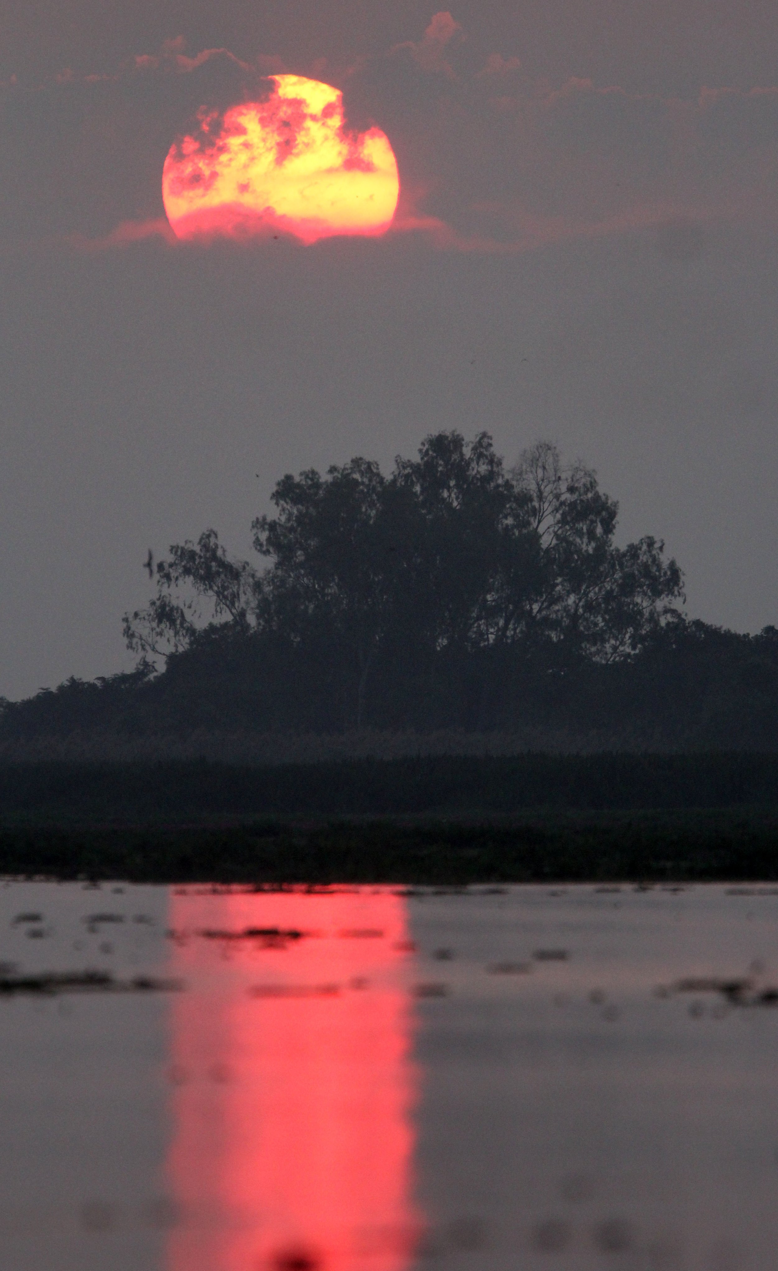 2018 Thale Noi Bird Sanctuary Patthalung (19).JPG