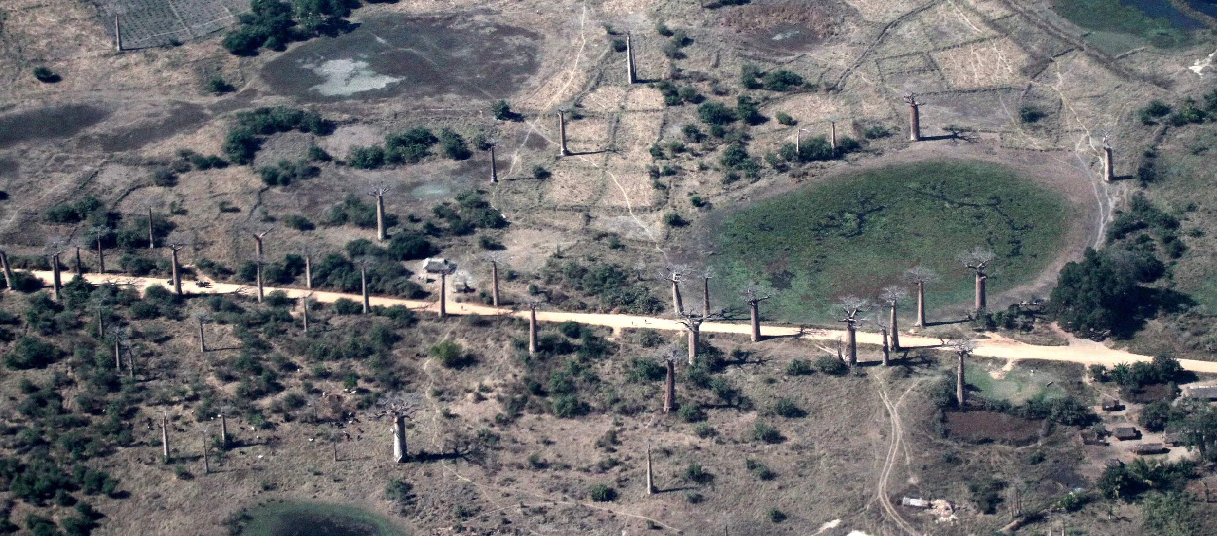 MODONDAVA MADAGASCAR - AVENUE DU BAOBABS FROM THE AIR (8).JPG