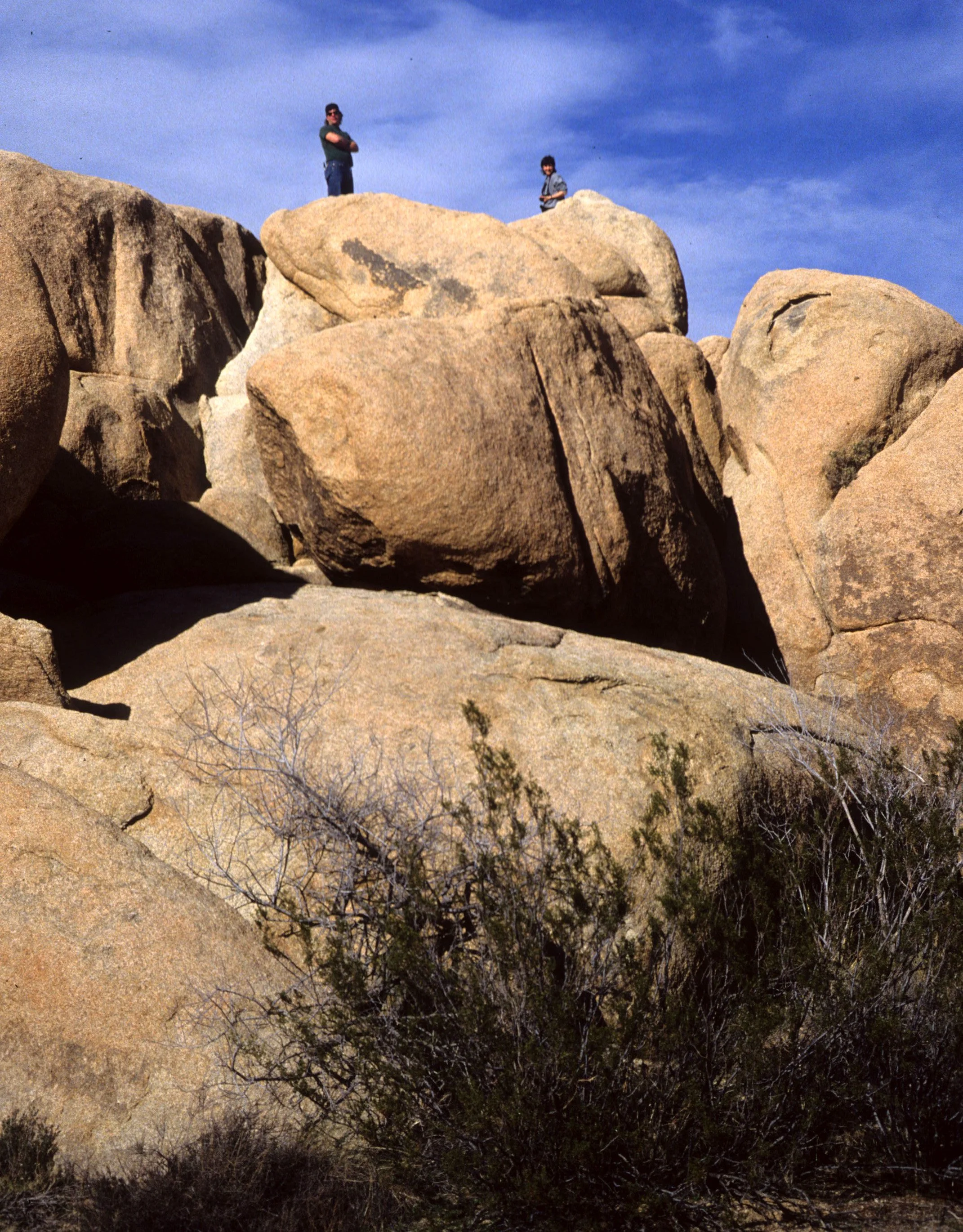 JOSHUA TREE - INSELBERGS A.jpg