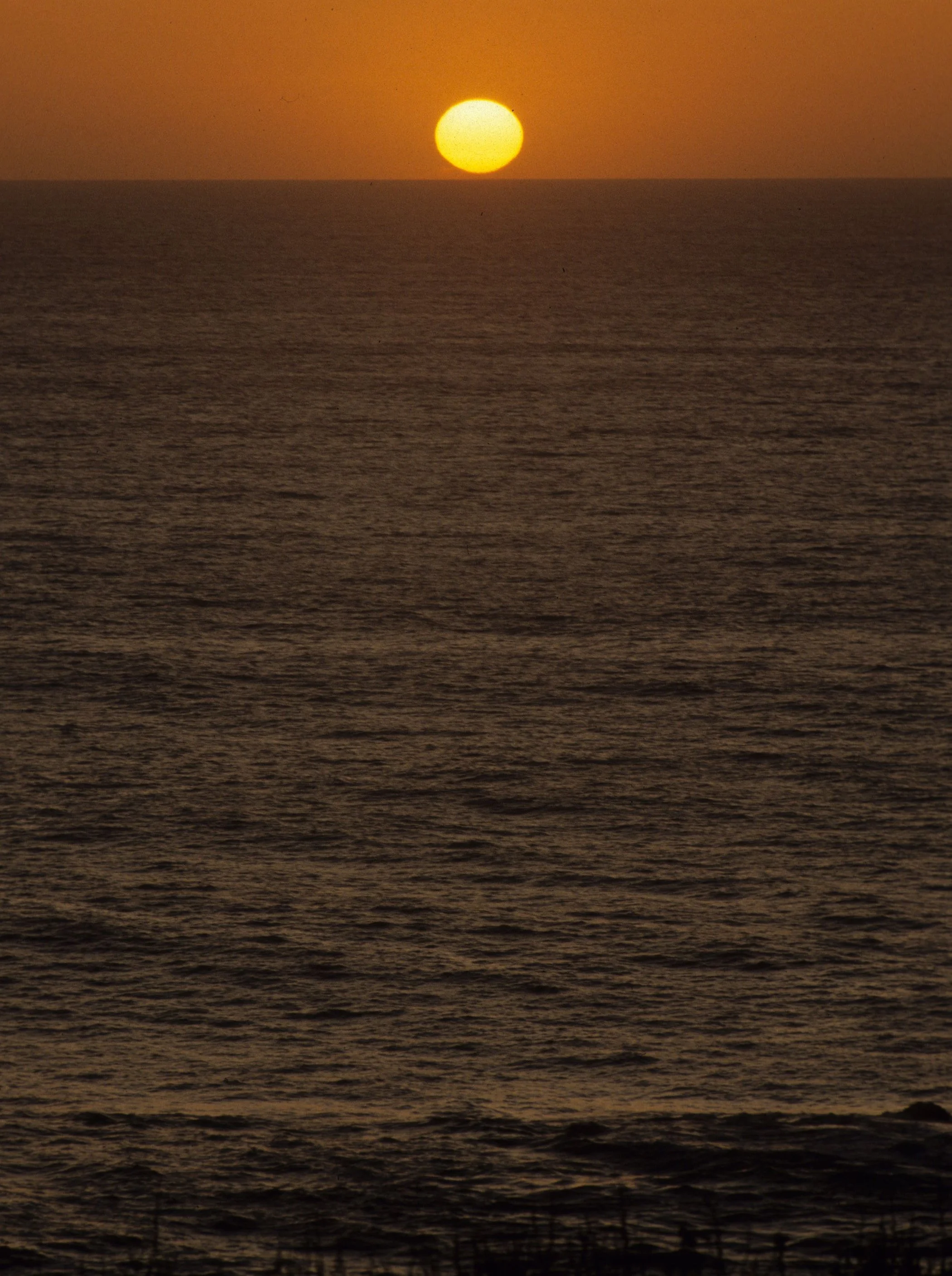 CALIFORNIA - POINT REYES - SUNSET.jpg