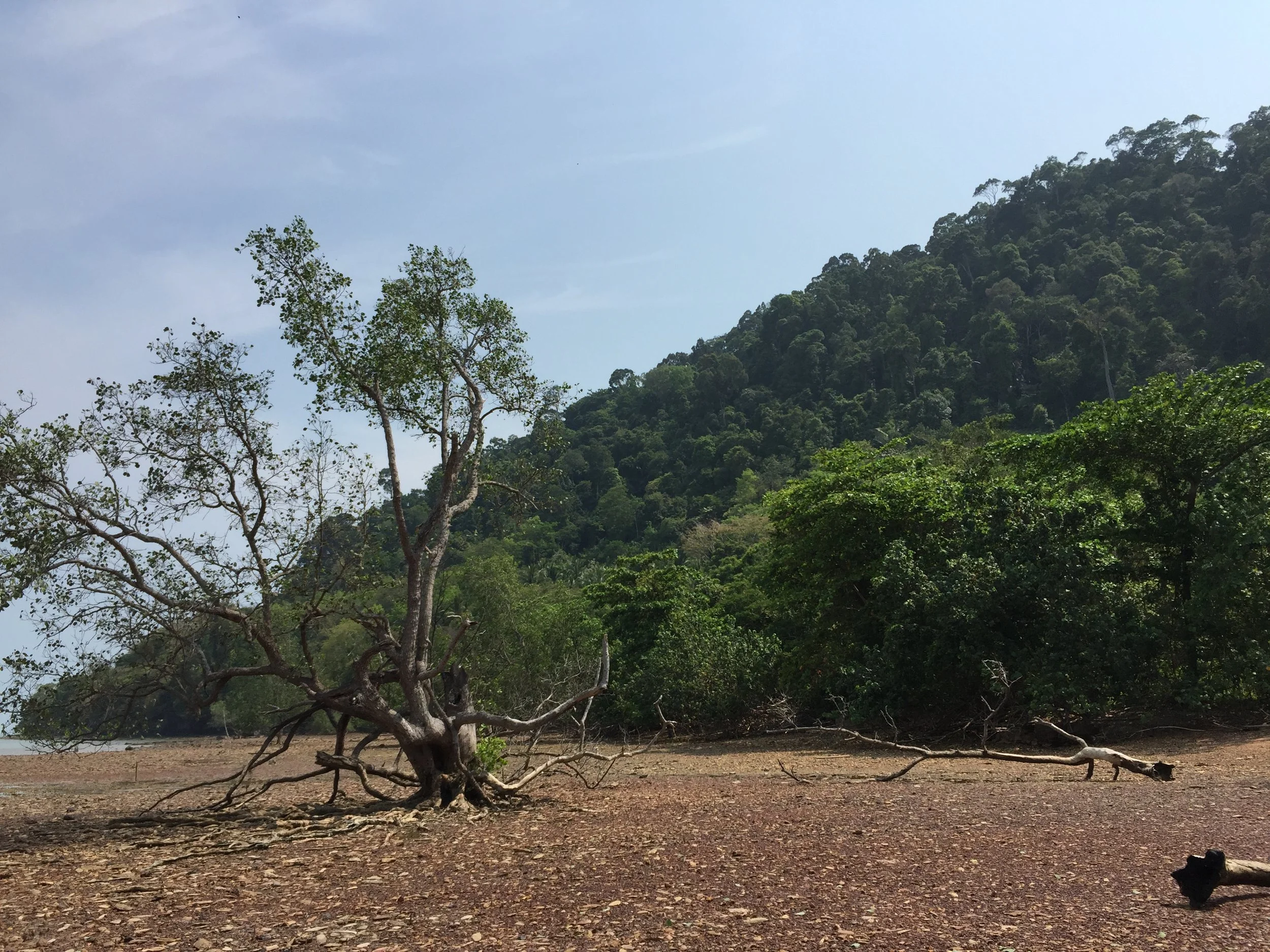 2015 Lanta Project and Scenes (62).JPG