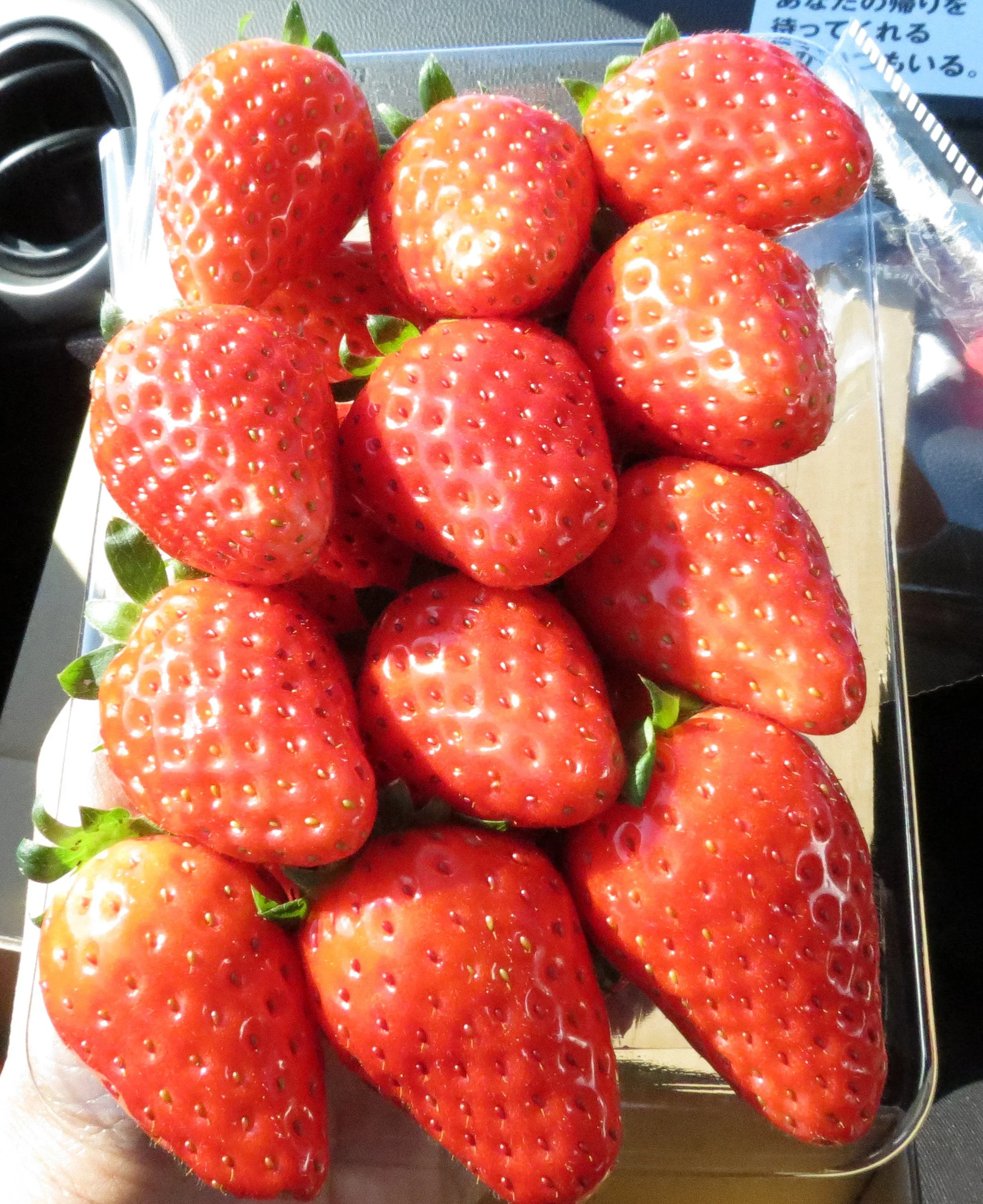 FOOD - SHIZUOKA STRAWBERRIES (2).JPG