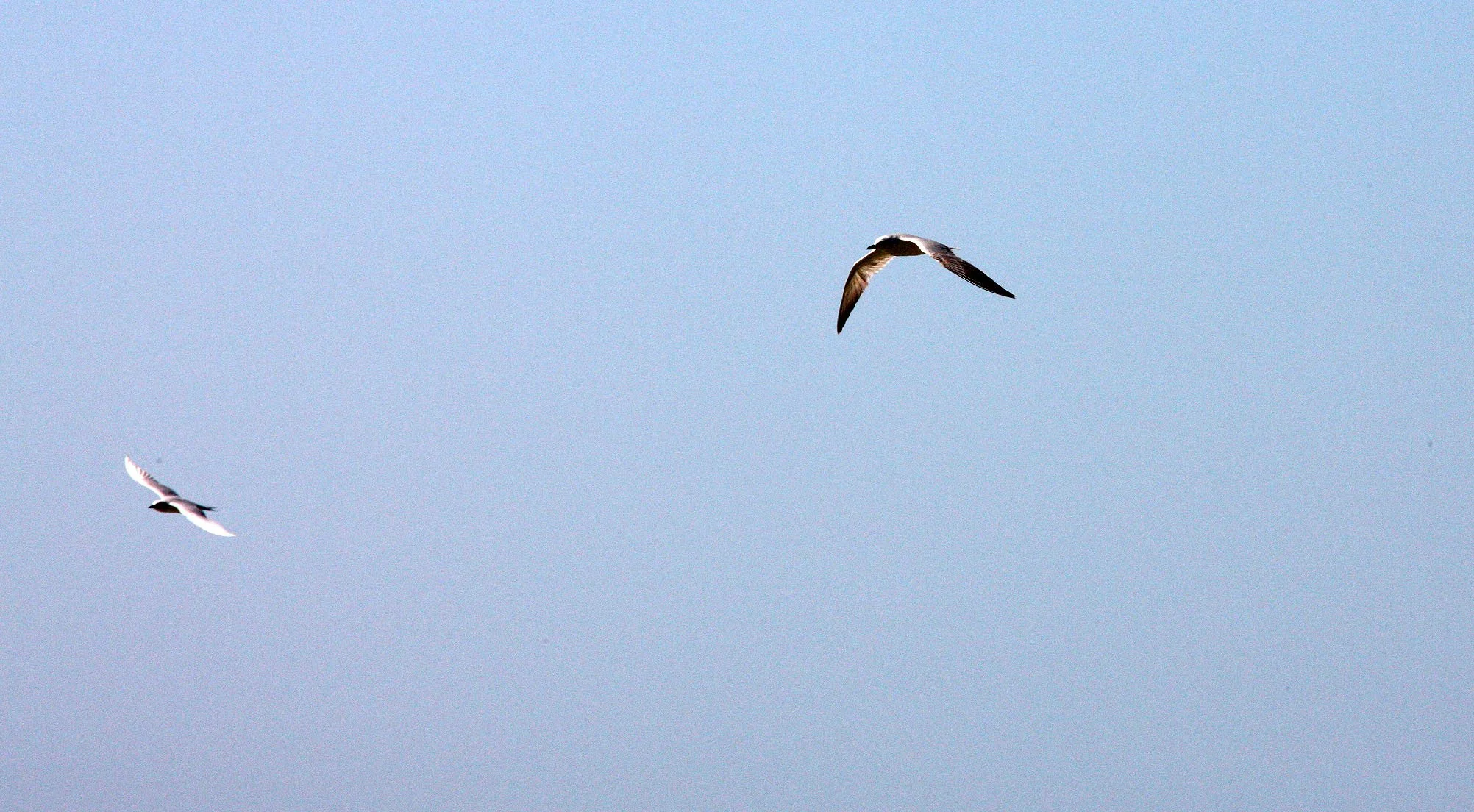 GUJARAT - SOMNATH TEMPLE AND TOWN - INDIA (27).JPG