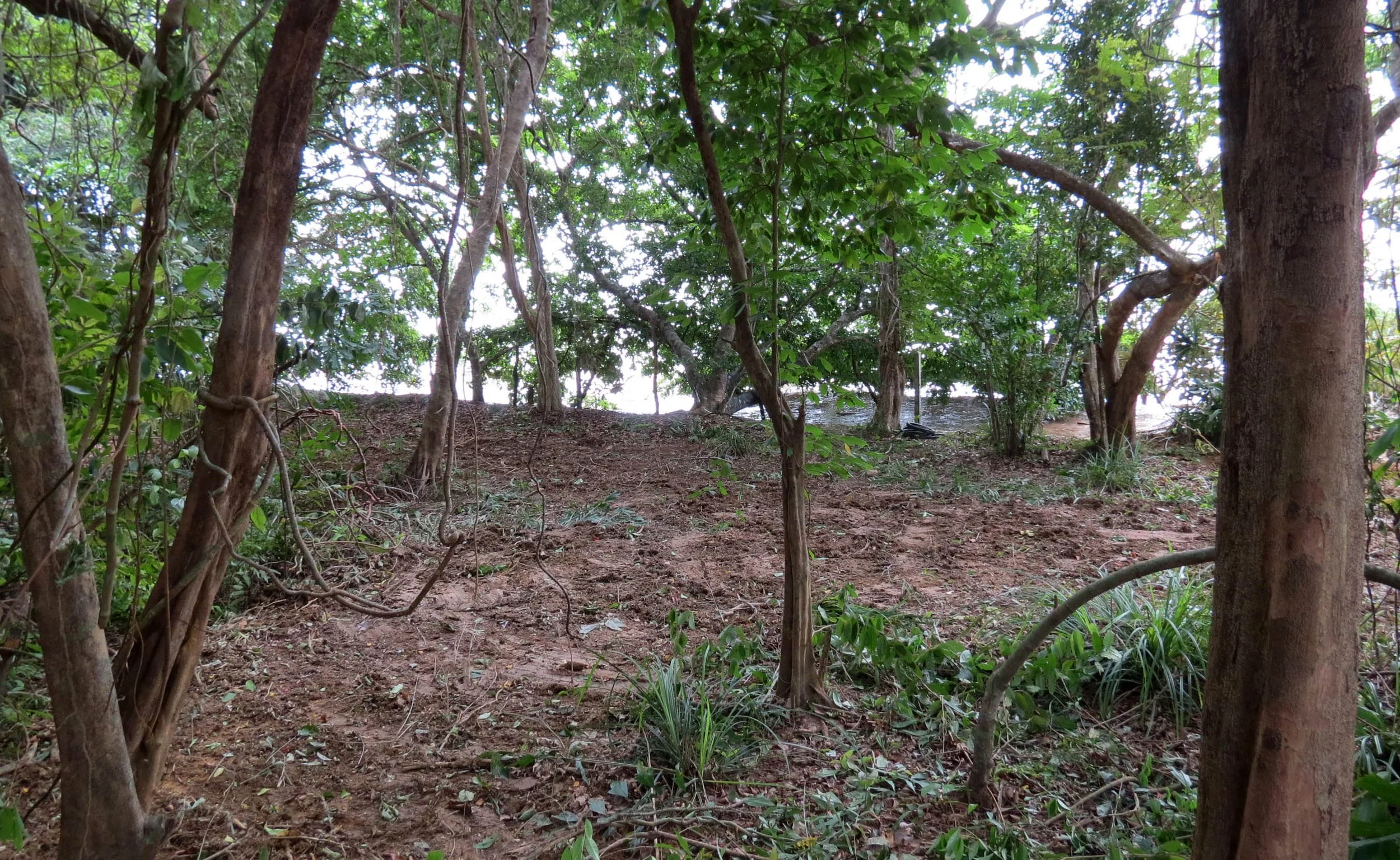 2014 Koh Lanta Build (42).JPG