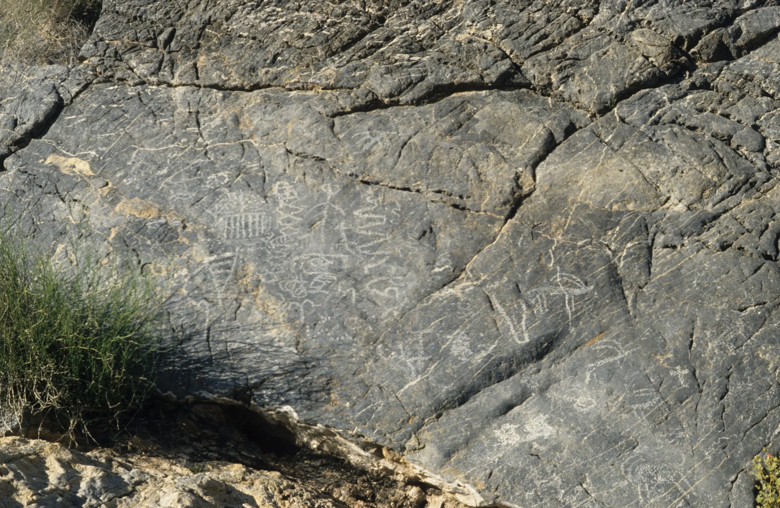 DEATH VALLEY - SHOSHONE AND PAIUTE PETROGLYPHS - HOLOCENE 10000 YA.jpg