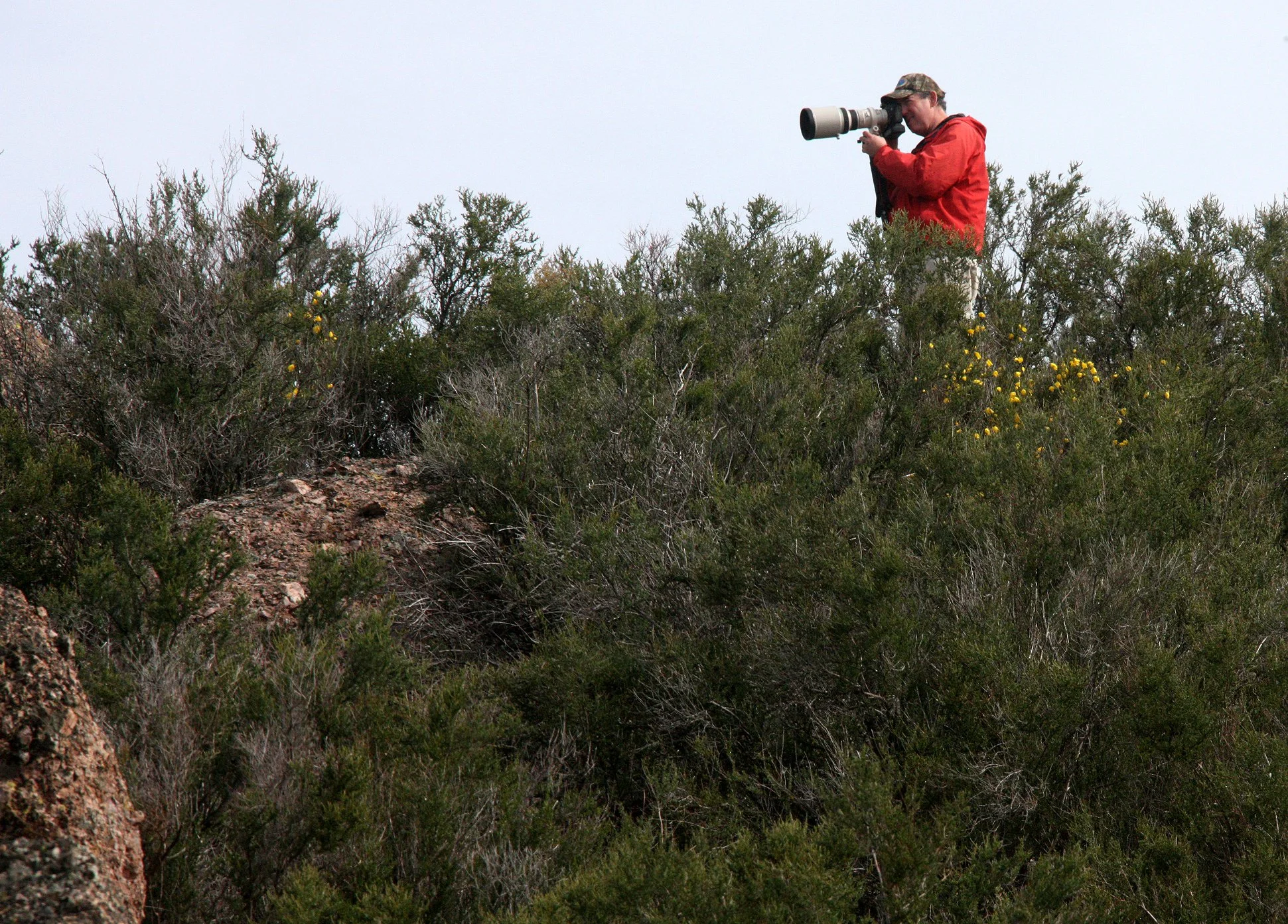 2010-4-2 PINNACLES NATIONAL MONUMENT CALIFORNIA.JPG