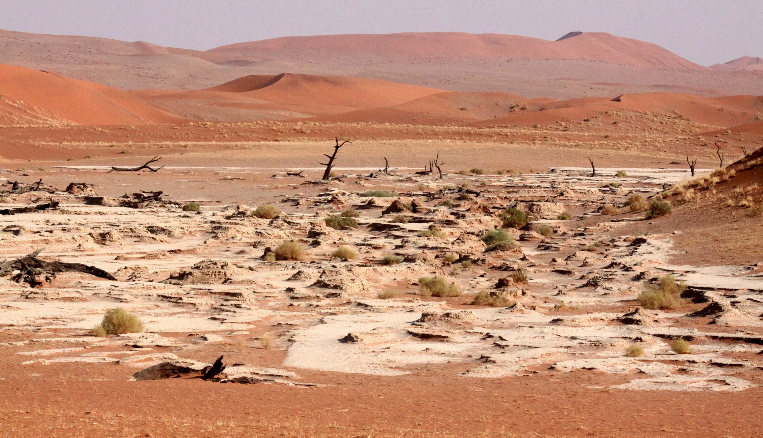 SOSSUSVLEI, NAMIB NAUKLUFT NATIONAL PARK, NAMIBIA - DEAD VLEI (82).JPG