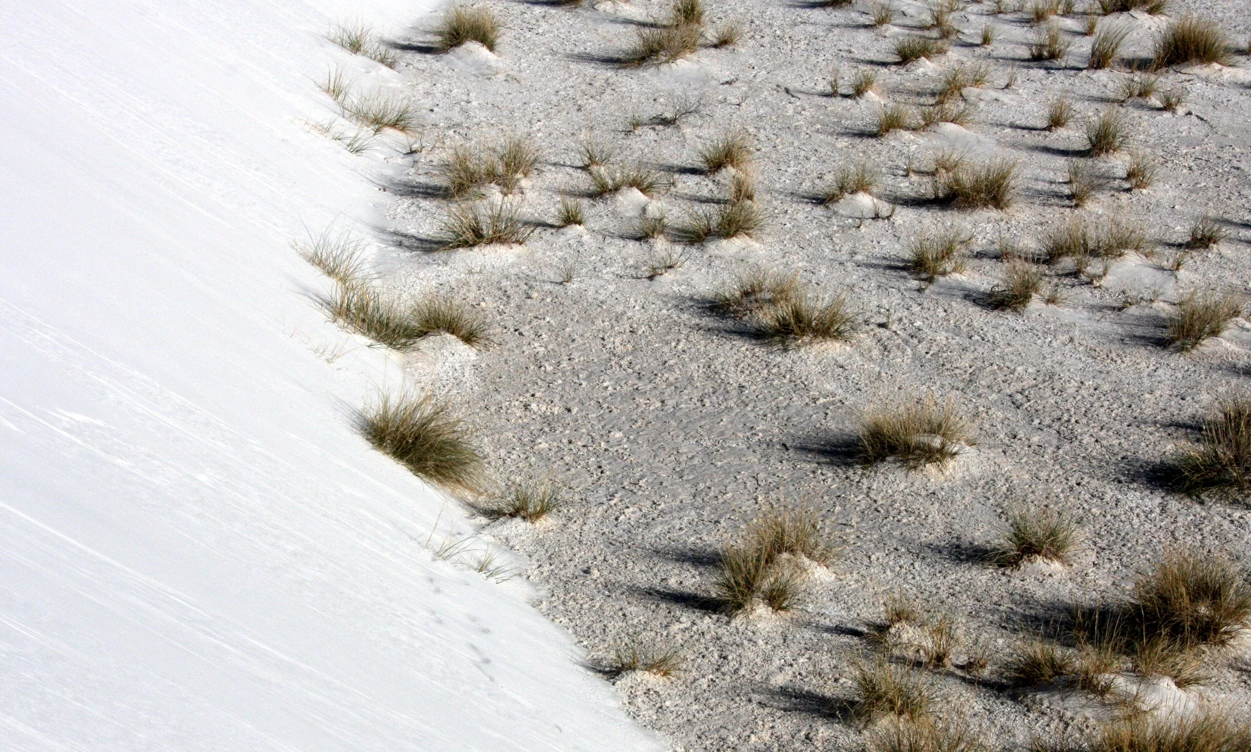 WHITE SANDS NATIONAL MONUMENT - JUNE 2010 (16).JPG