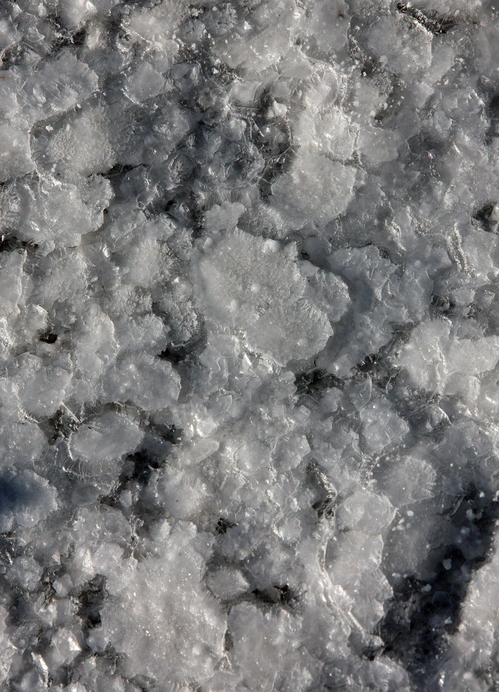 GUJARAT - KUTCH - LITTLE RANN OF KUTCH INDIA (55).JPG