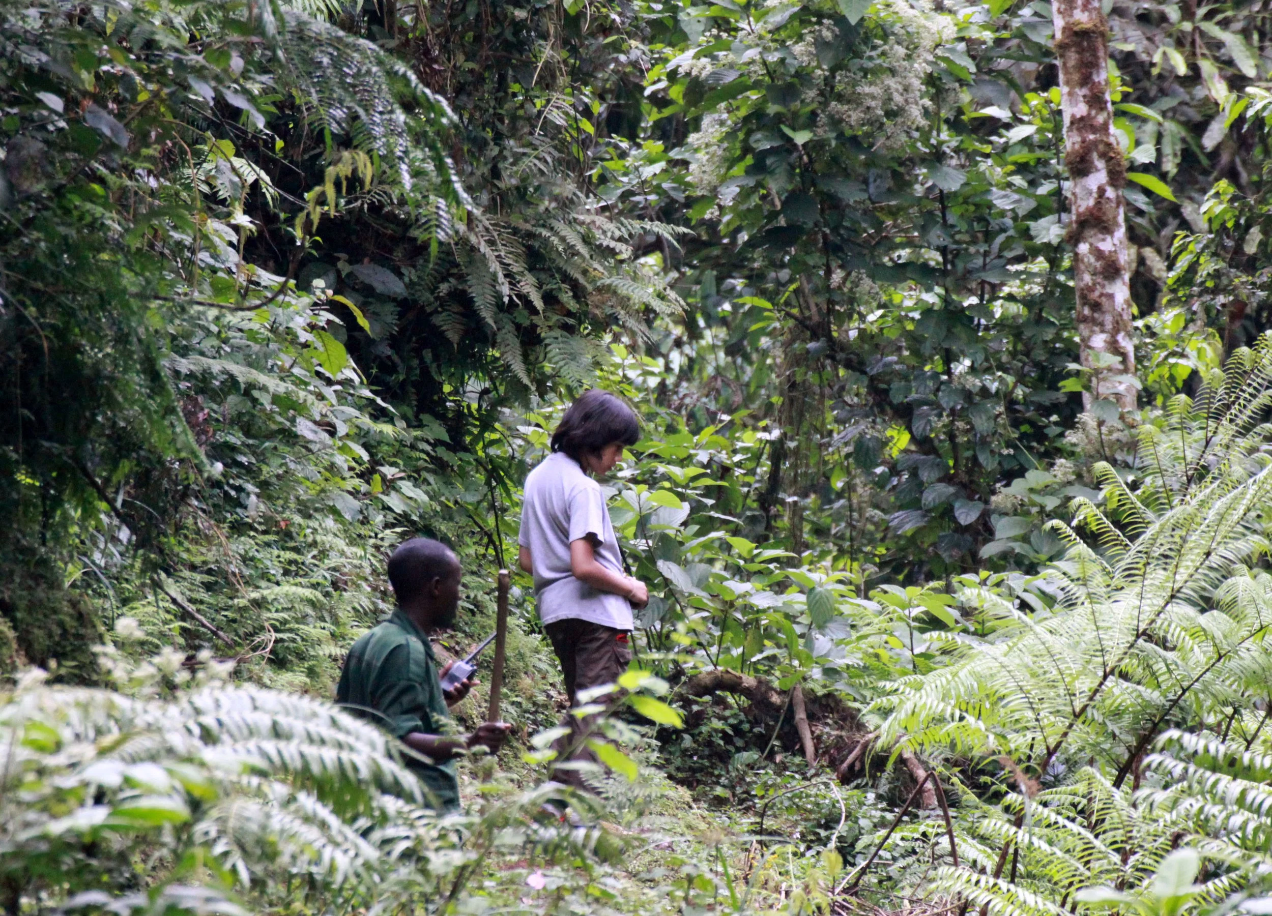 NYUNGWE NATIONAL PARK RWANDA (507).JPG
